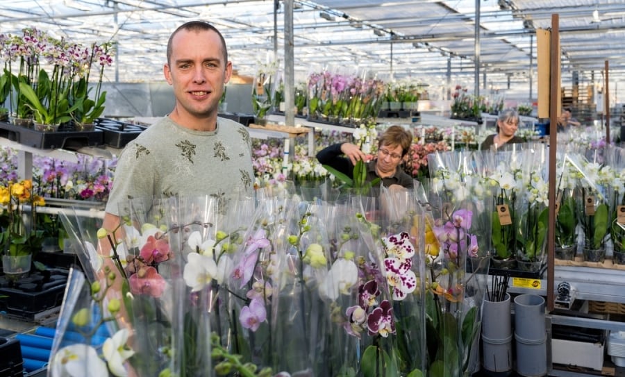Orchideeënkweker Wilco Verhoeven stopt met zijn bedrijf vanwege de oplopende kosten zoals energie en arbeid. Foto: Marc Bolsius
