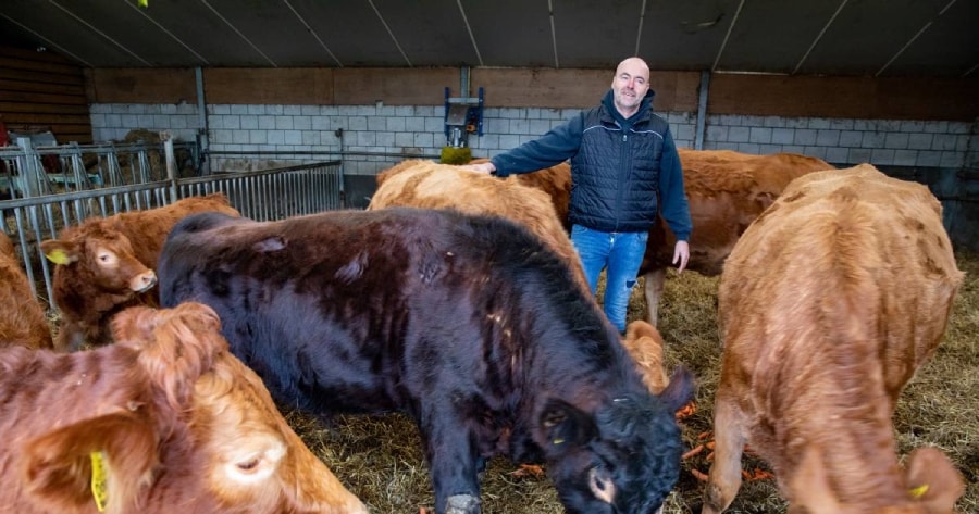Leon Moonen is vleesveehouder in Sint Oedenrode. Foto: Juan Vrijdag / DCI Media