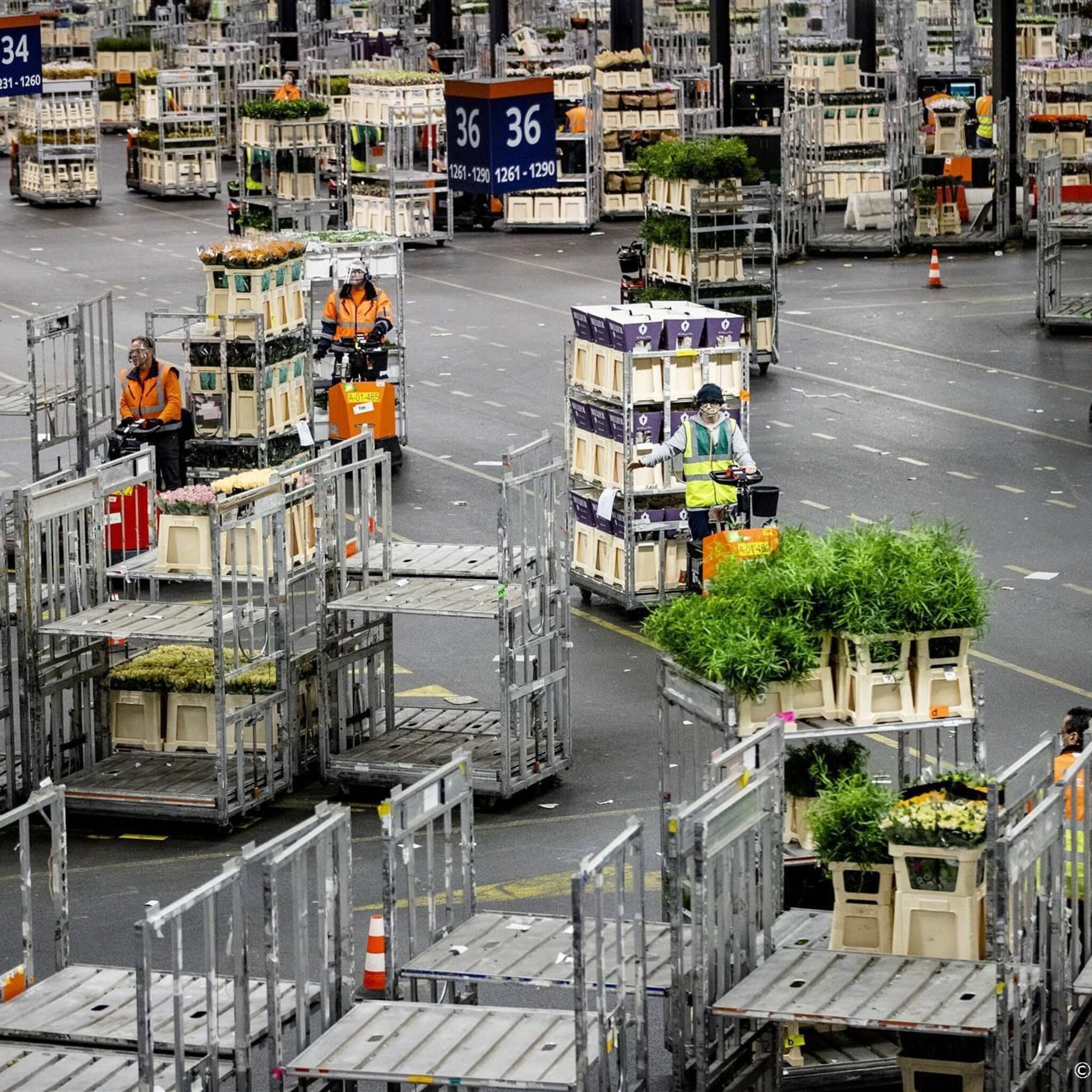 floraholland stelde werknemers jarenlang bloot aan asbest