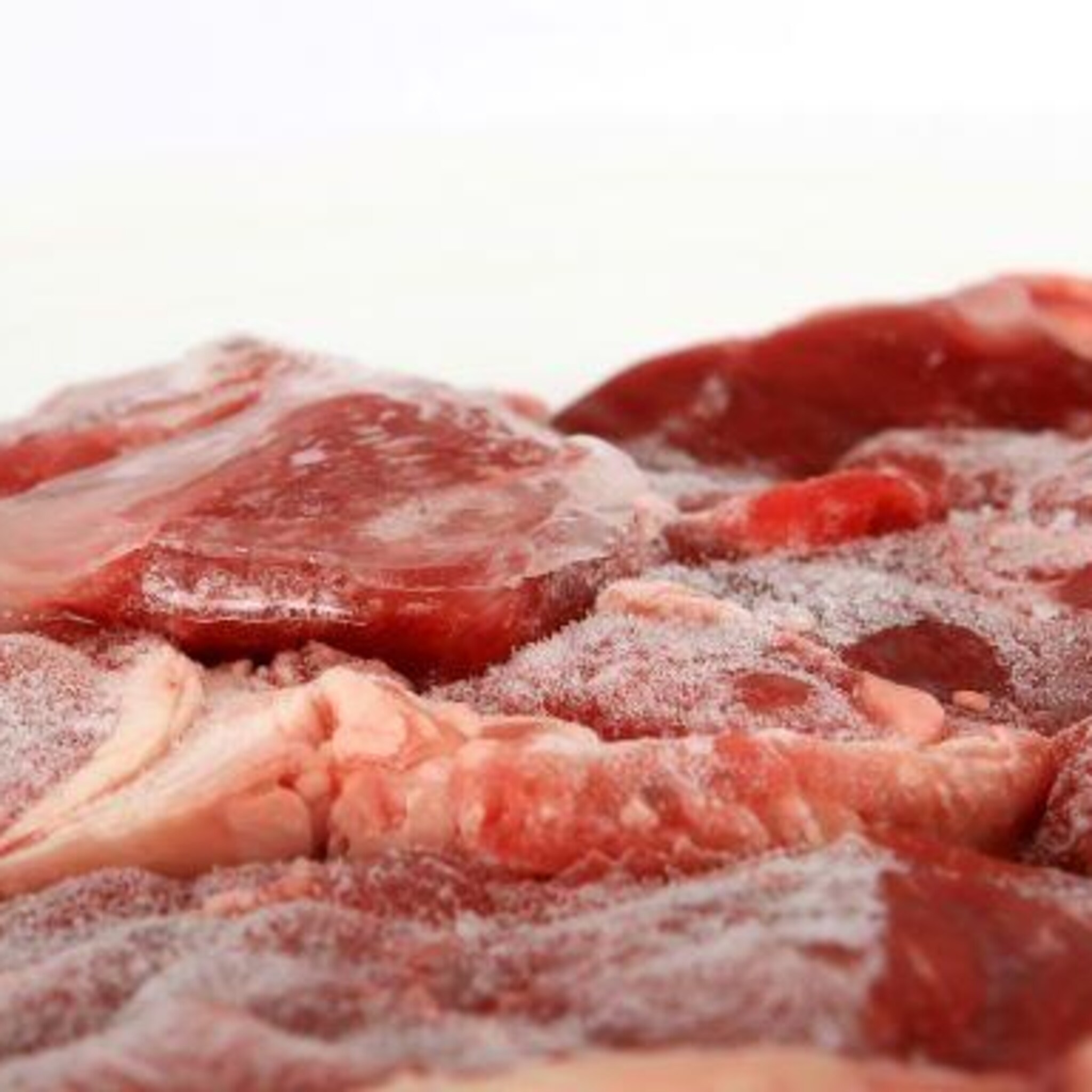 unieke vinding food tech brainport dit kan een miljoenenbesparing opleveren voor voedselproducenten
