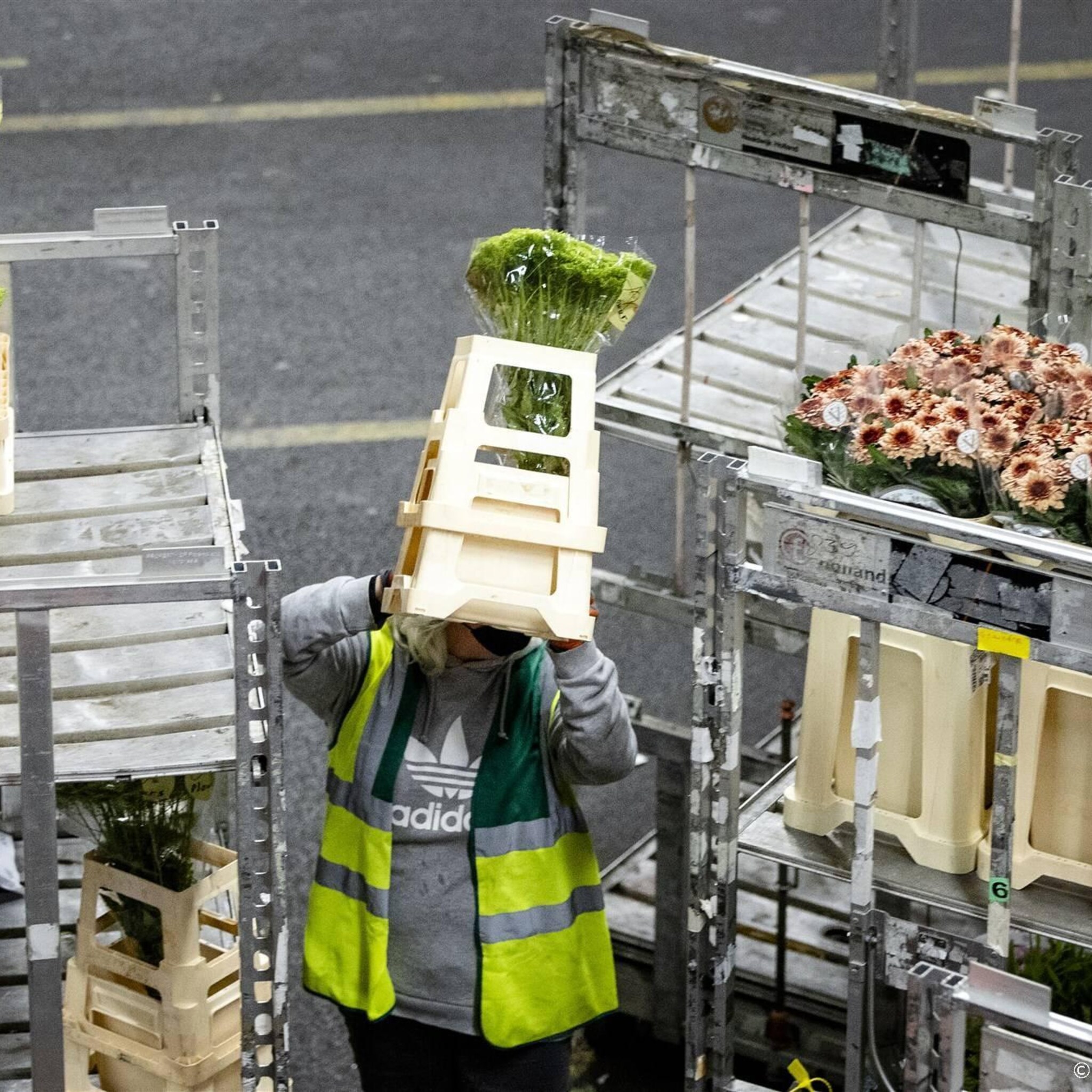 export bloemen en planten gedaald door energiecrisis en inflatie