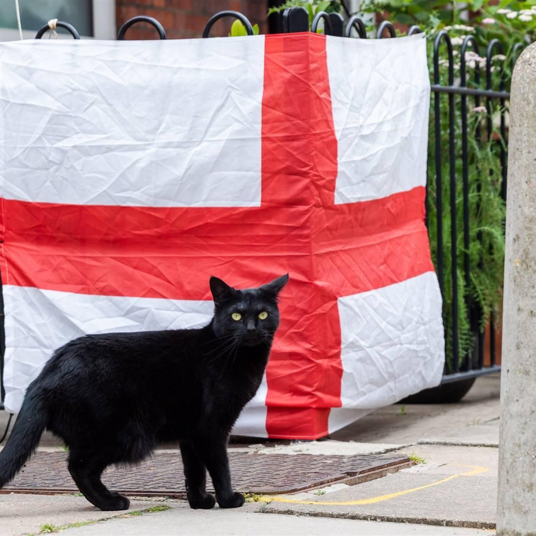 engeland gaat wegwerpplastic borden en bestek verbieden