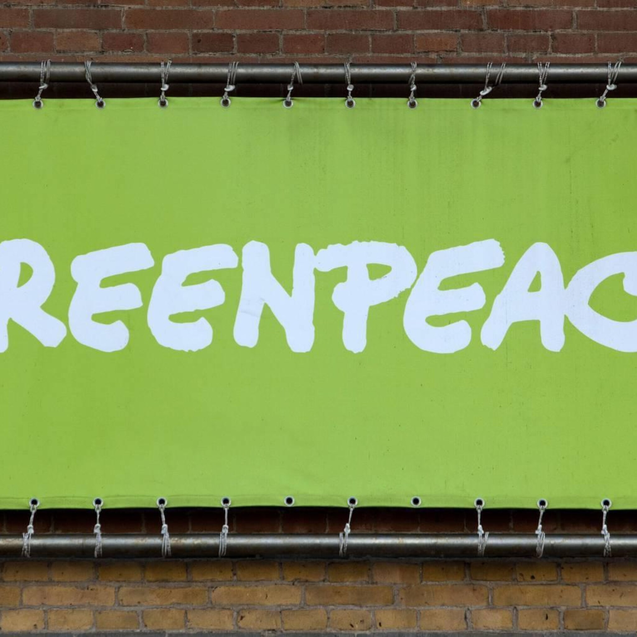 rechtbank onwaarschijnlijk dat greenpeace milieuzaak tegen vw wint