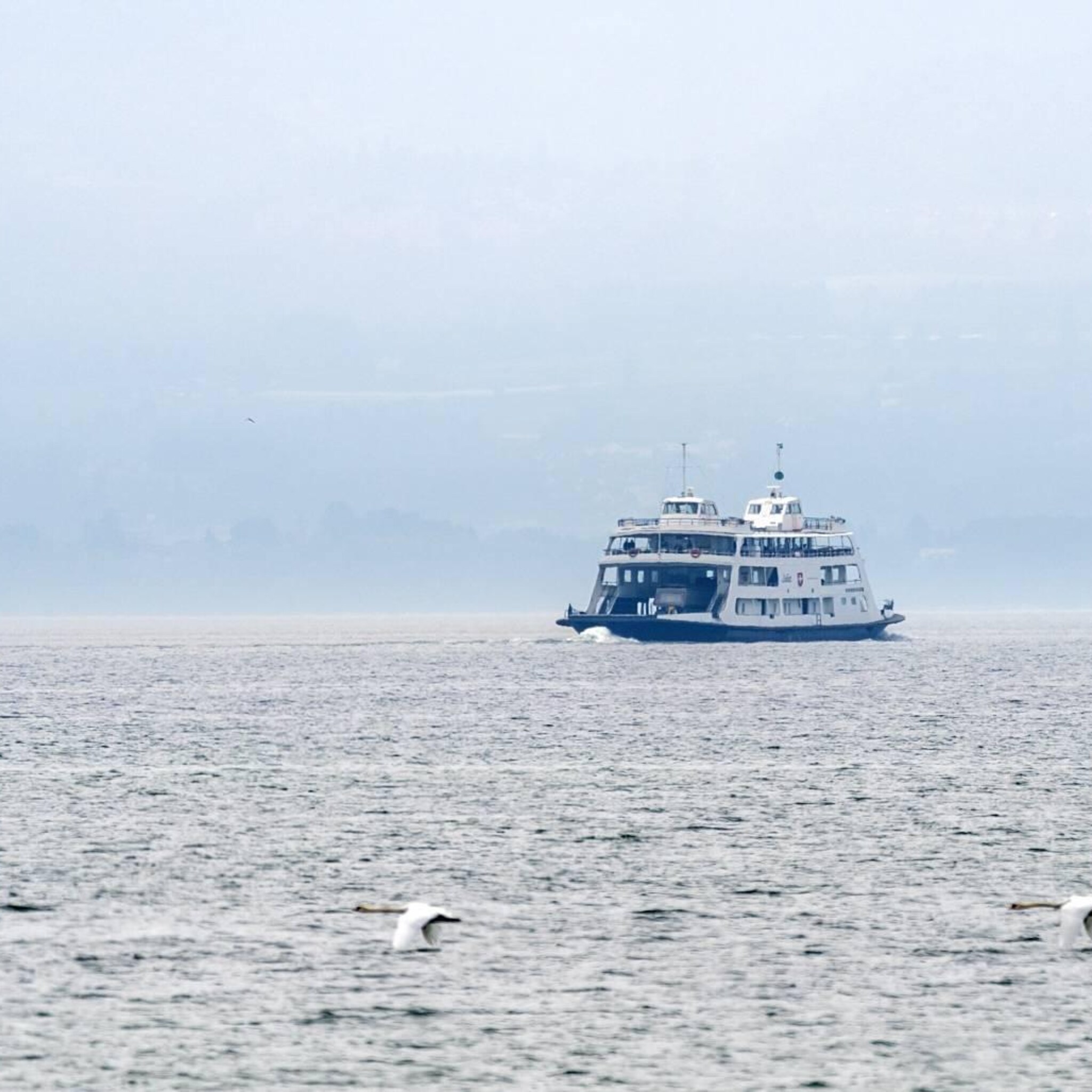 ferry tussen eemshaven en noorwegen in trek ook voor wintersport