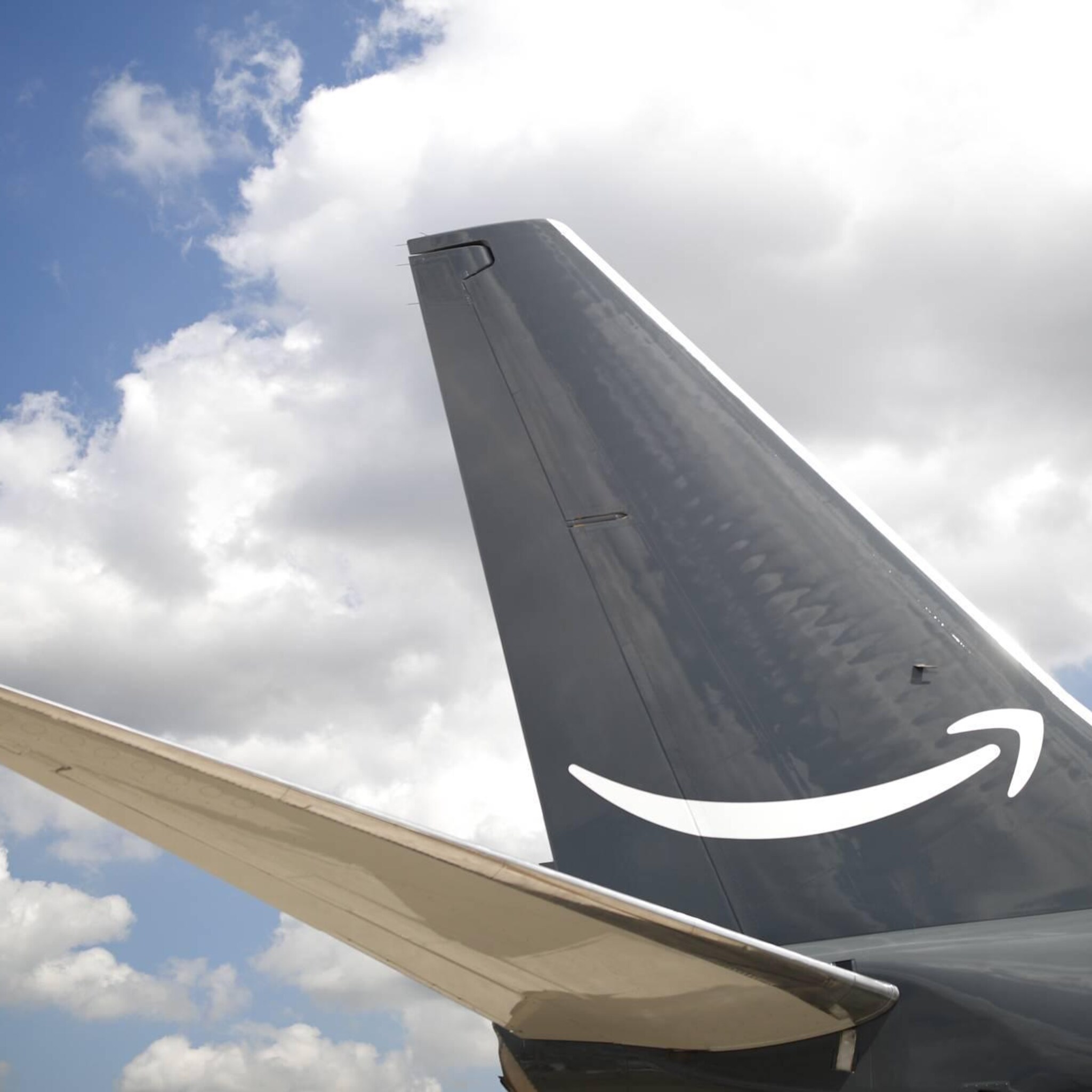 media amazon overweegt vluchten met zalm in plaats van pakketten