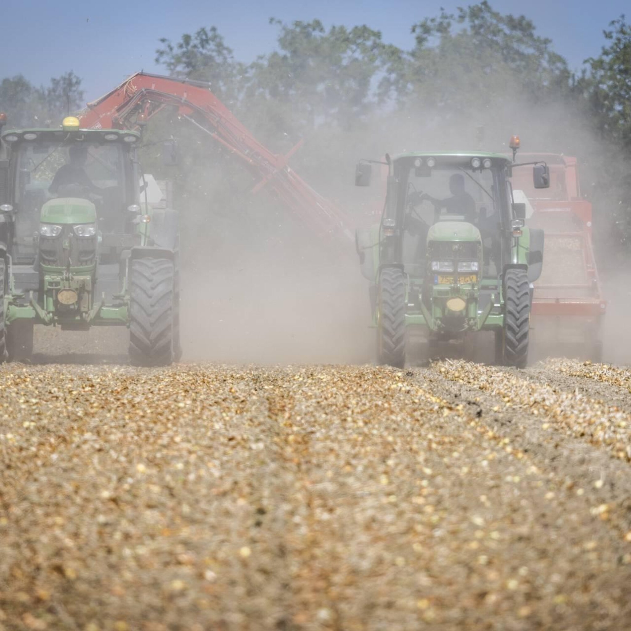 experts droogte pakt dit jaar positief uit voor inkomen boeren