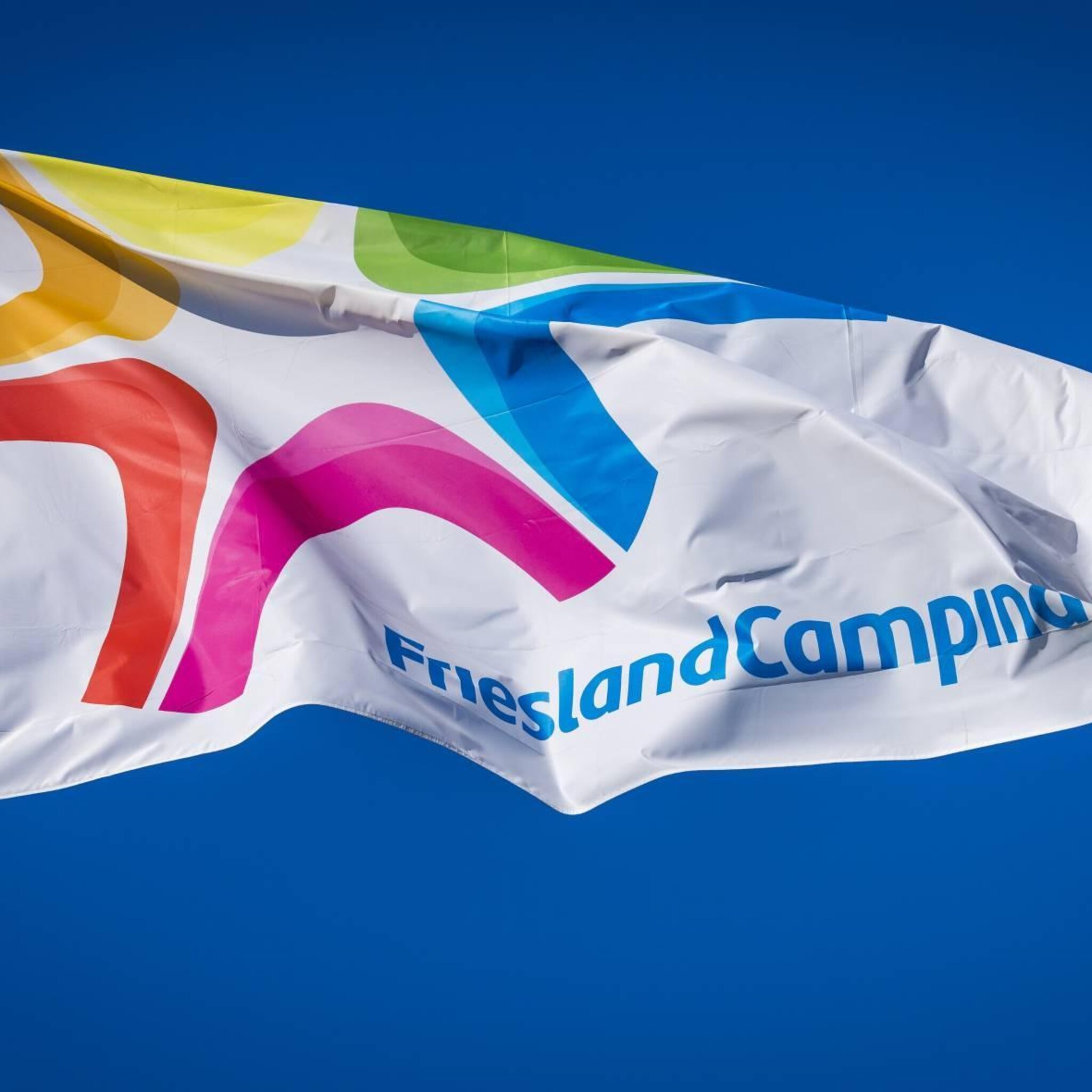 frieslandcampina gaat boeren die verduurzamen meer betalen