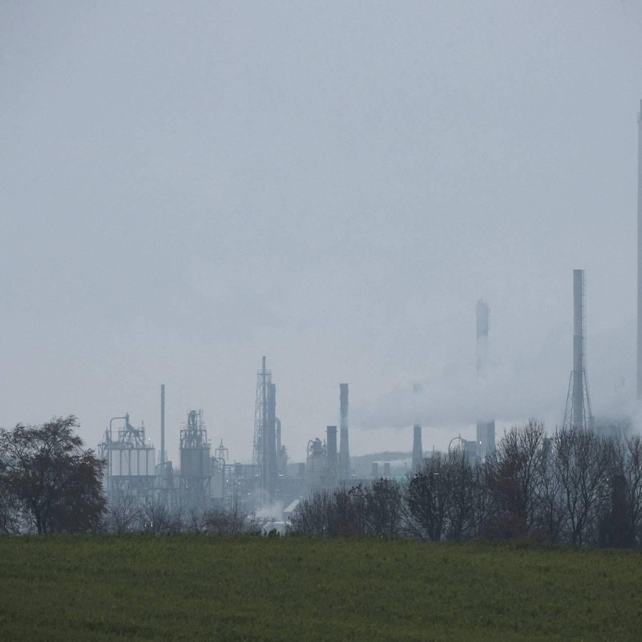 co2 vrije naftakraker geopend op chemelot