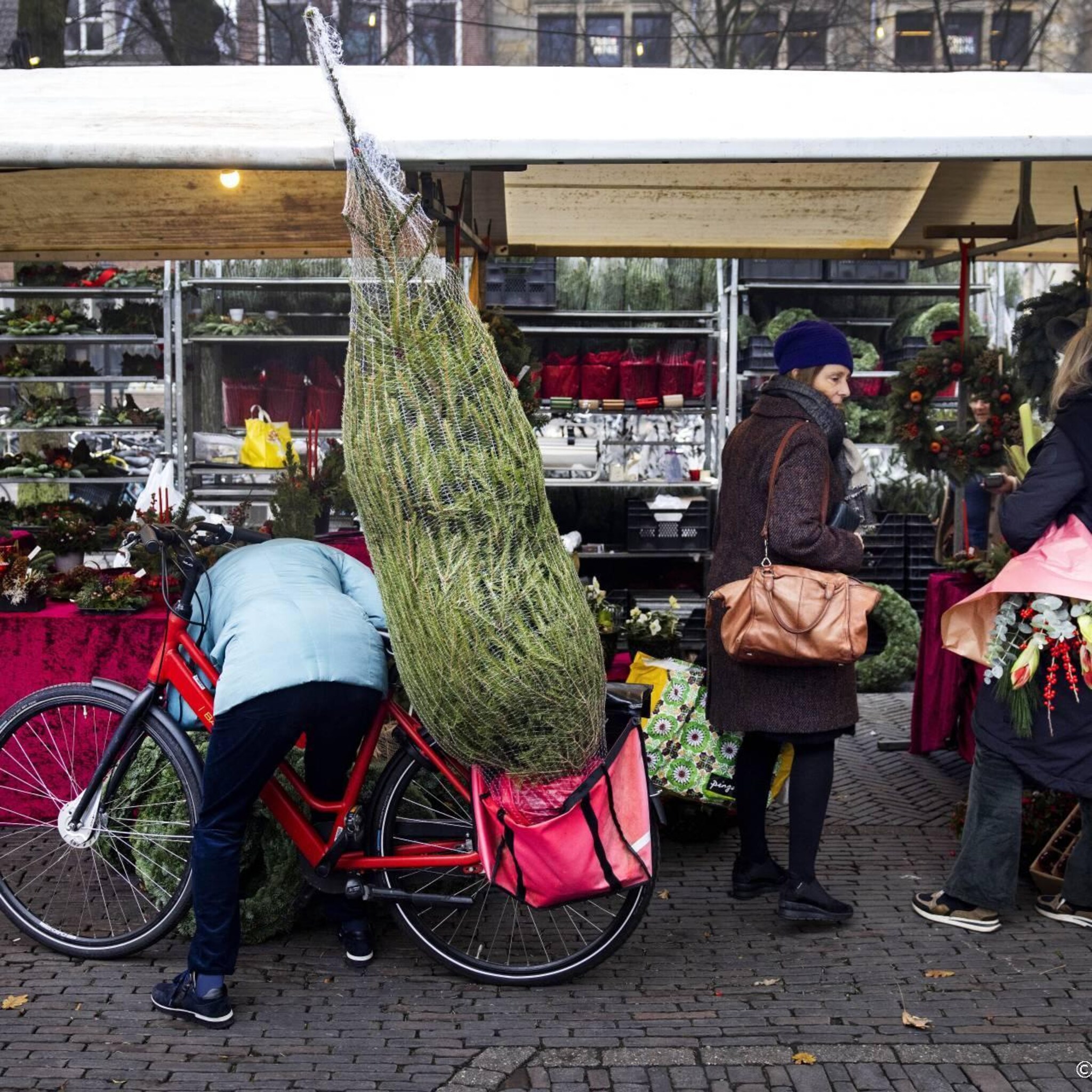 kerstbomenkwekers zien topdrukte net als vorig weekend