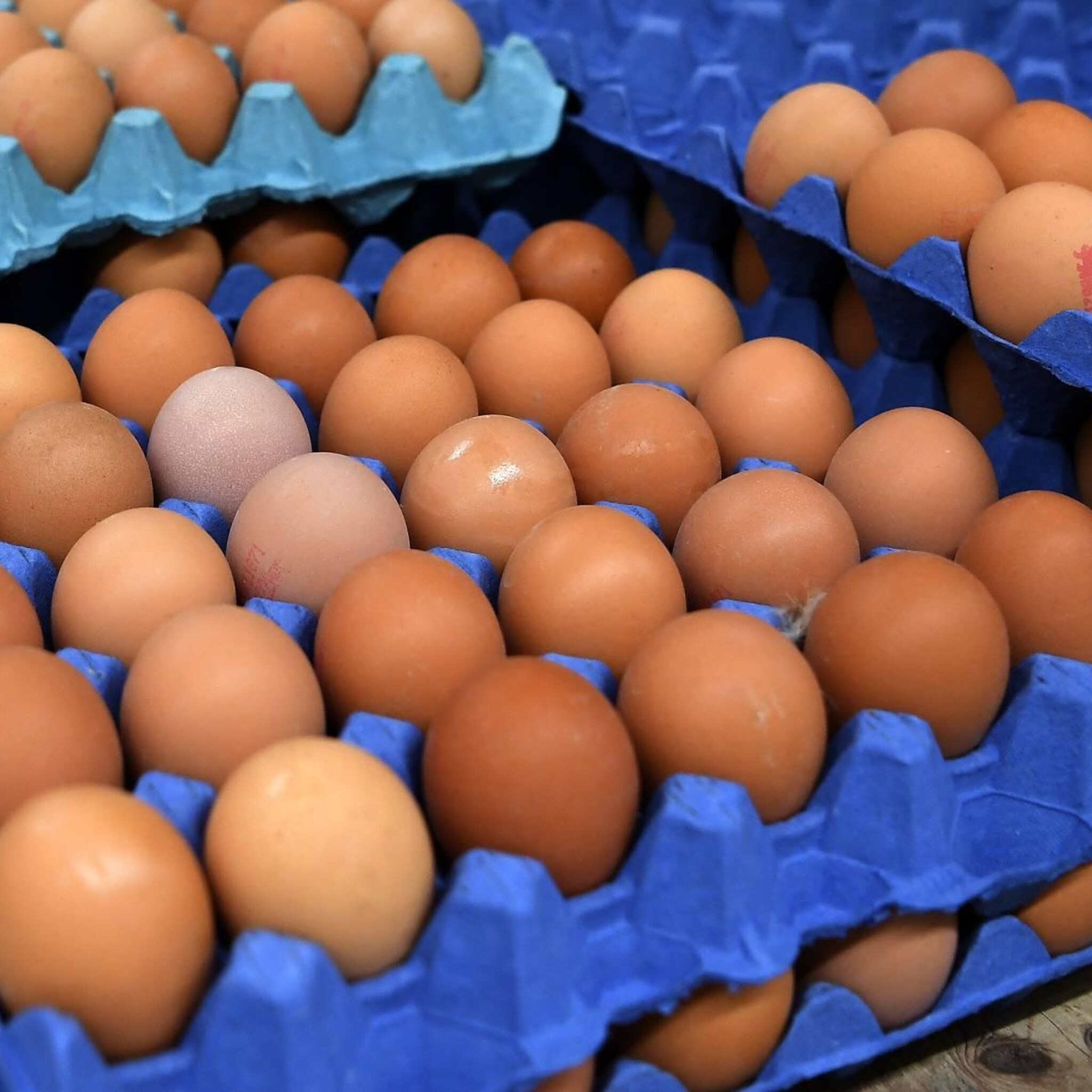 britse boerenorganisatie waarschuwt voor voedselcrisis