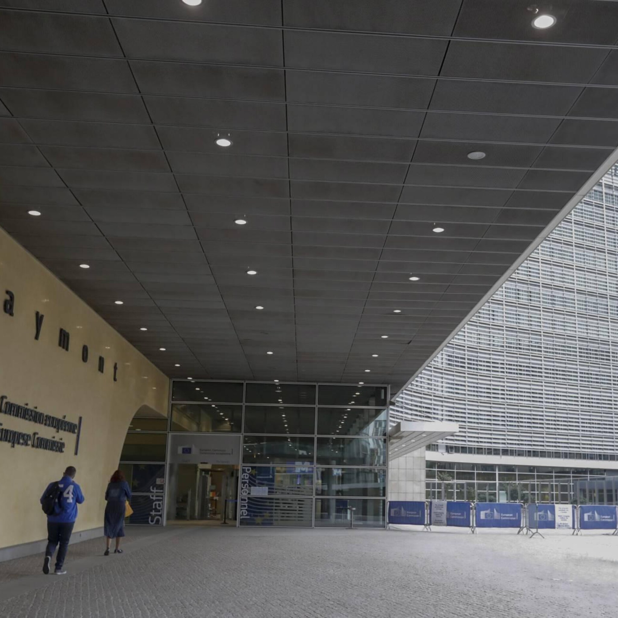 brussel verbiedt invoer producten die bijdragen aan ontbossing