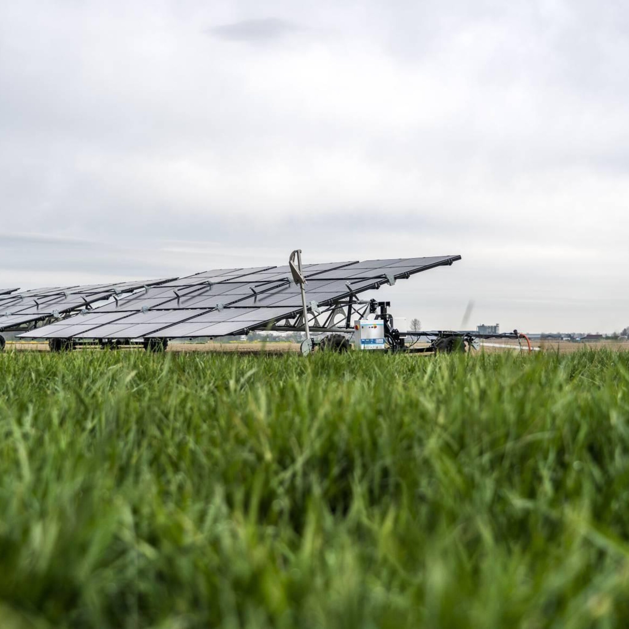 abn amro economie veroorzaakt miljardenschade aan biodiversiteit
