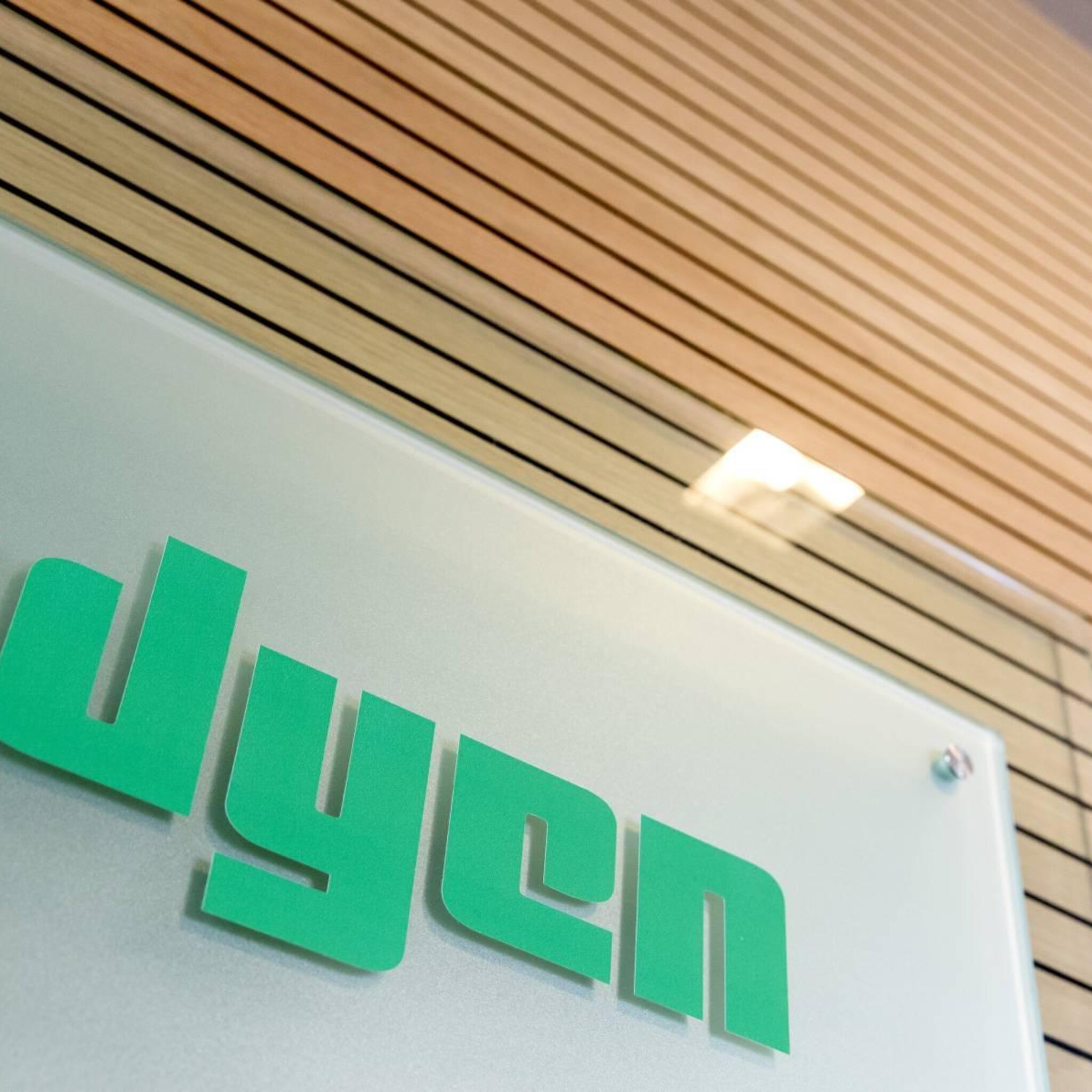 betaalbedrijf adyen aan kop in hogere aex na koopadvies