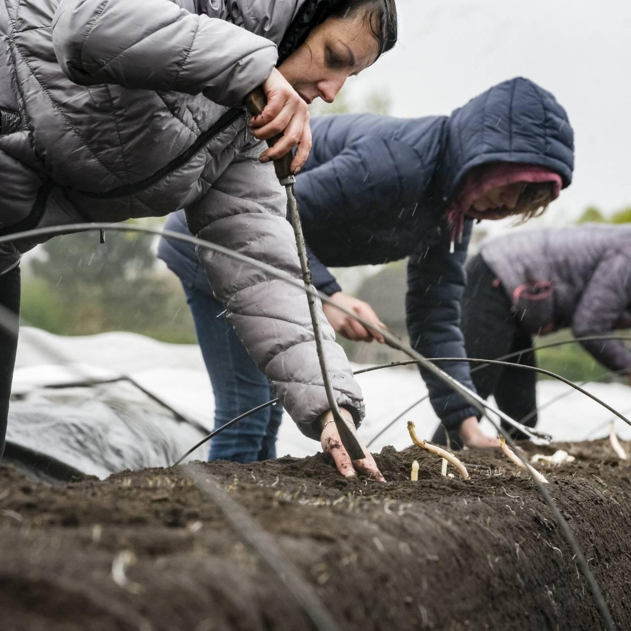 ruim 1 op 3 oekraiense vluchtelingen vond betaalde baan
