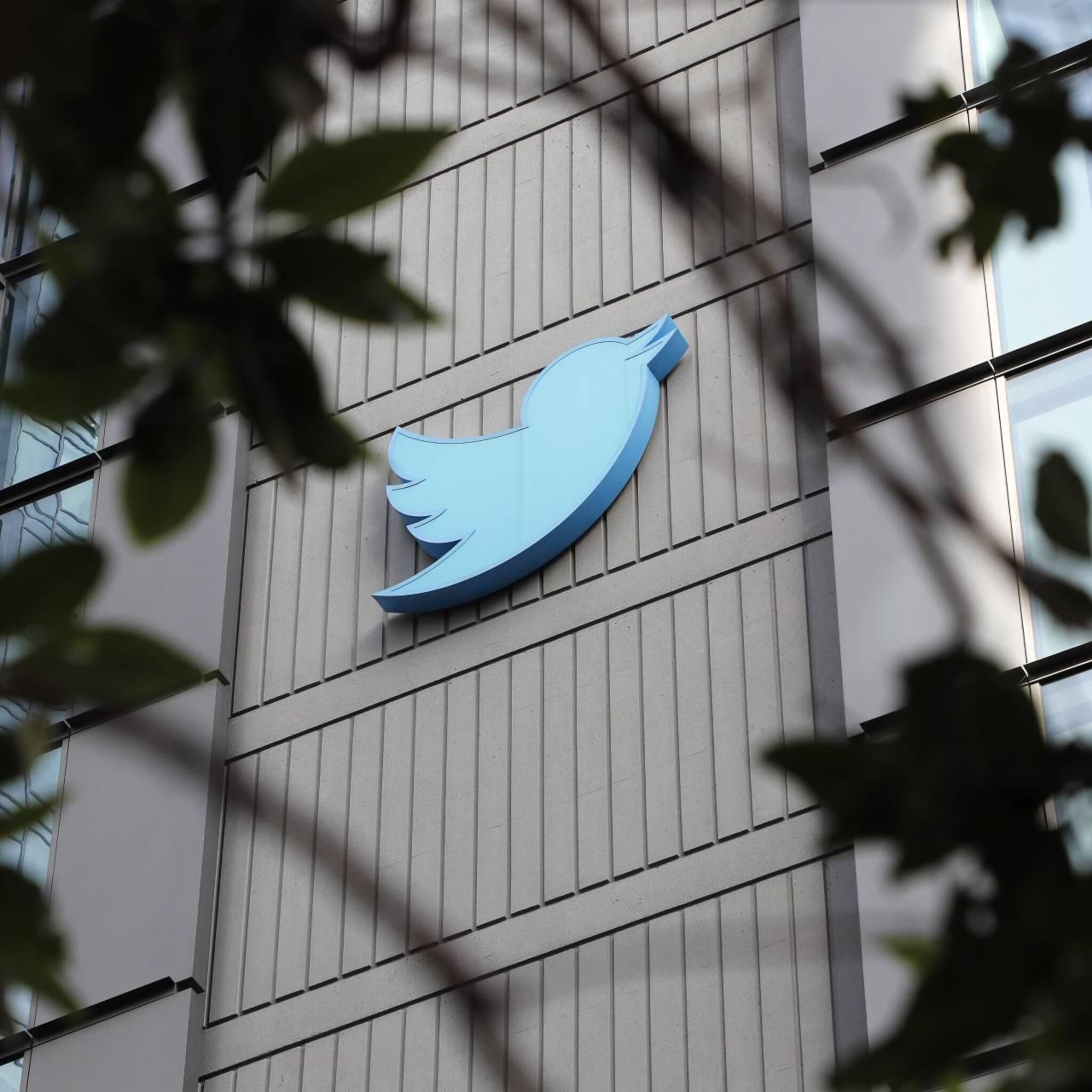 musk recordaantal nieuwe gebruikers bij twitter