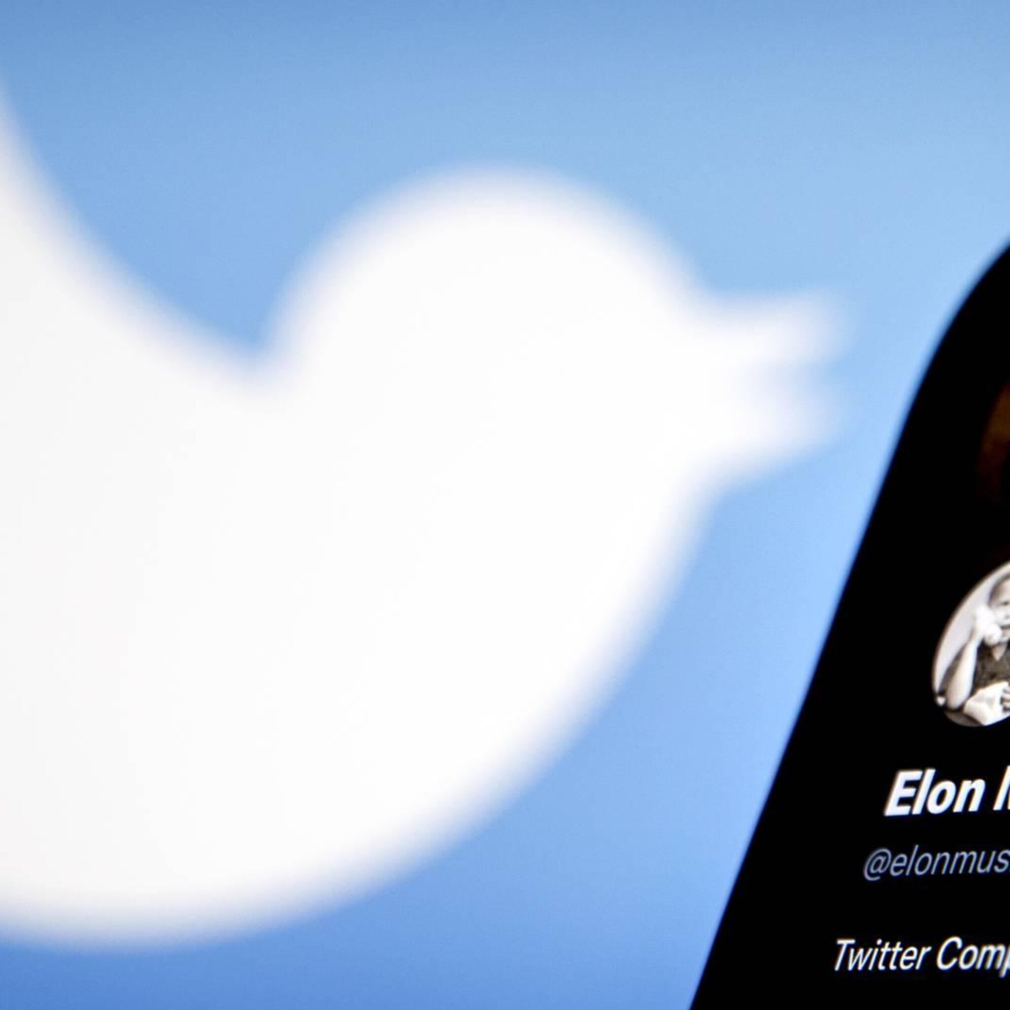musk blauw vinkje keert eind november nog niet terug op twitter