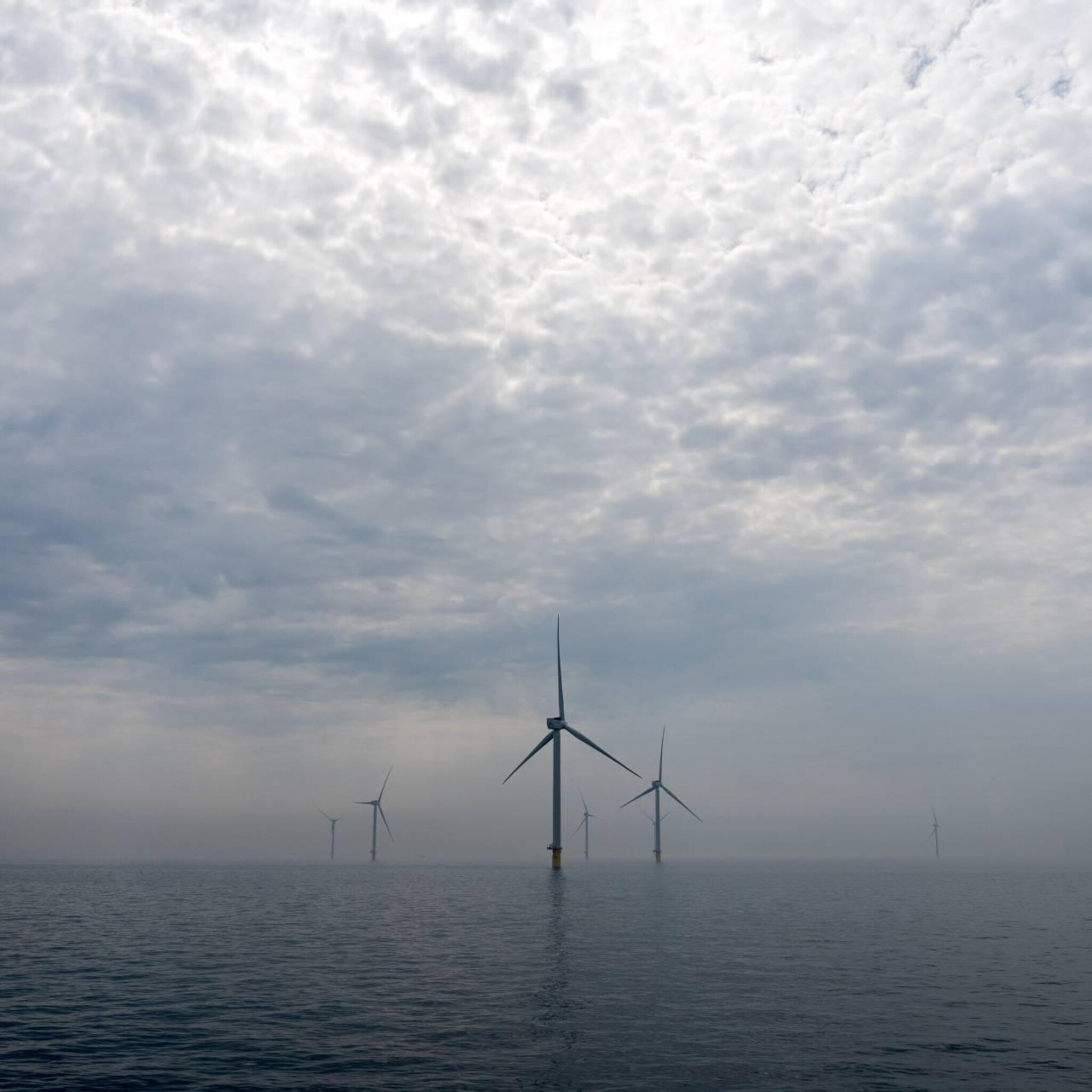 mammoet gaat werken aan grootste windmolenpark op zee