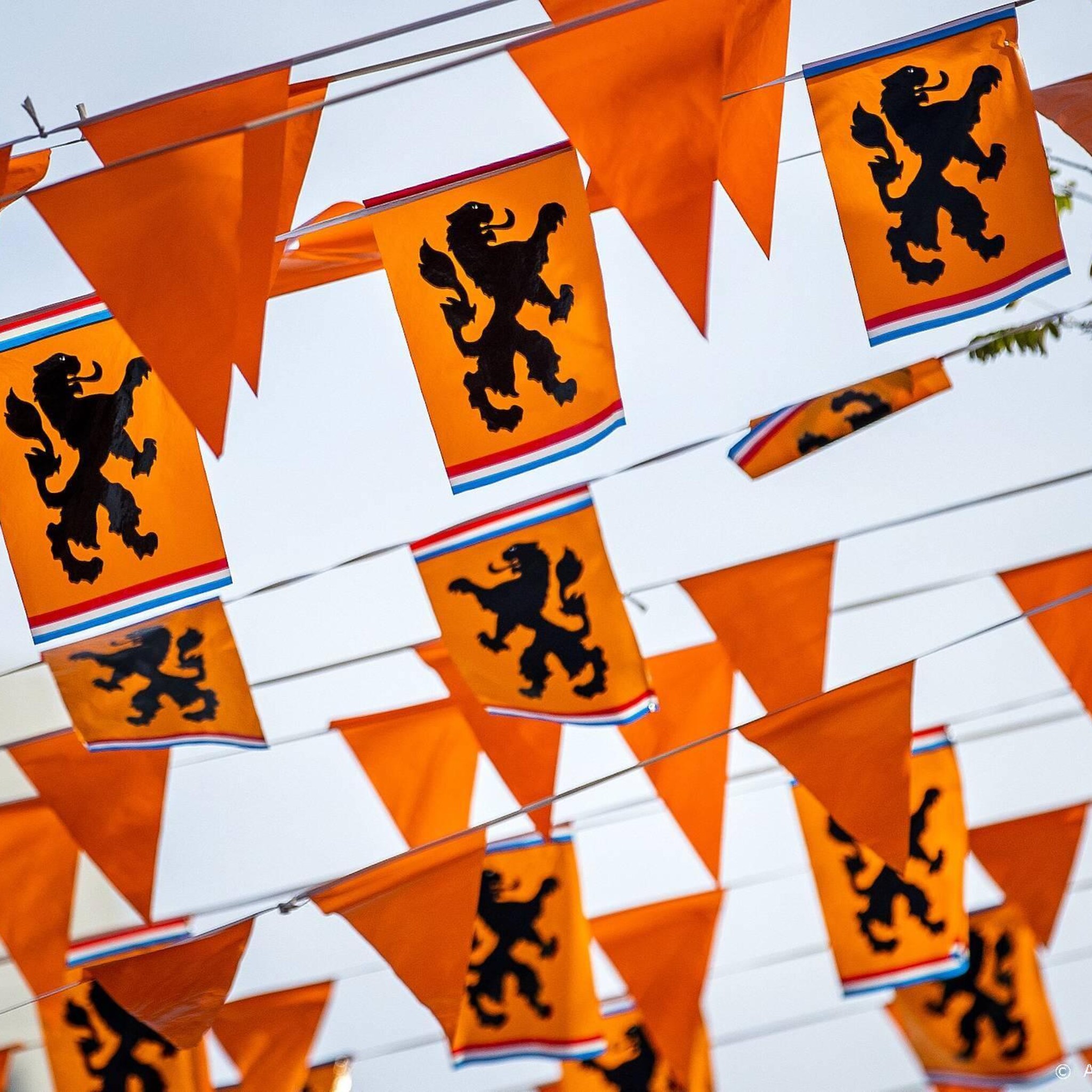 online voetbalpools alsnog massaal ingevuld