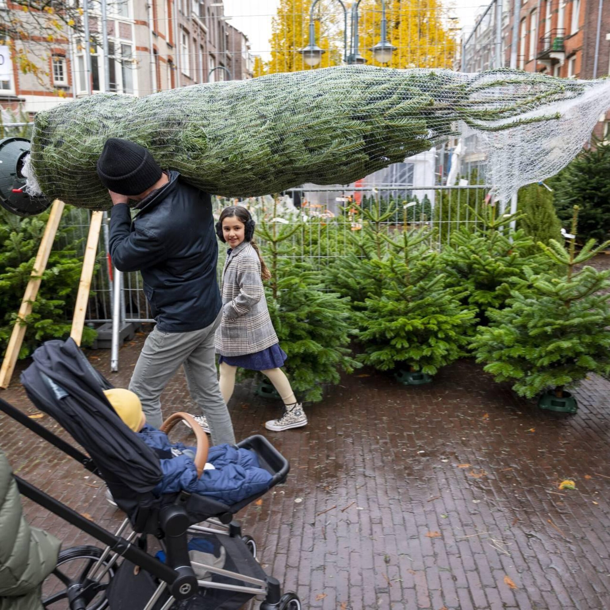 kerstboombranche optimistisch over verkoop ondanks inflatie en wk voetbal