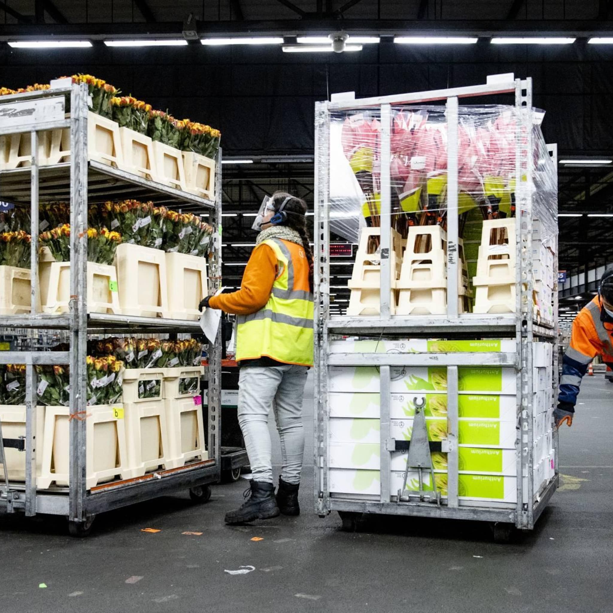 nederlandse export in september opnieuw gegroeid