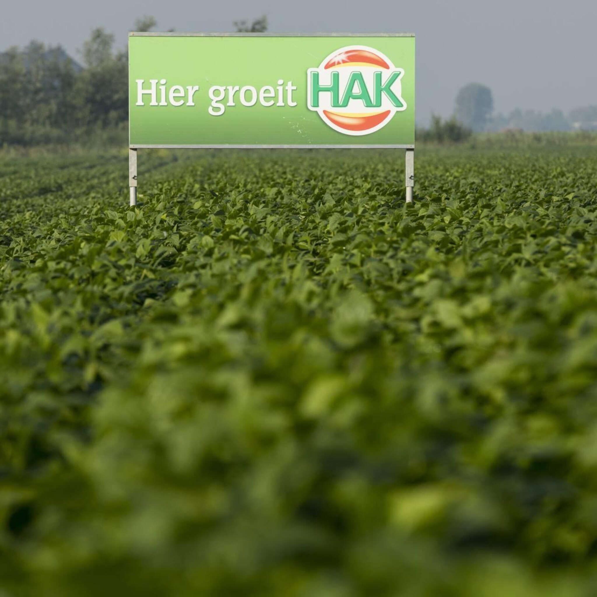 conservenbedrijf hak losgemaakt van russisch moederbedrijf