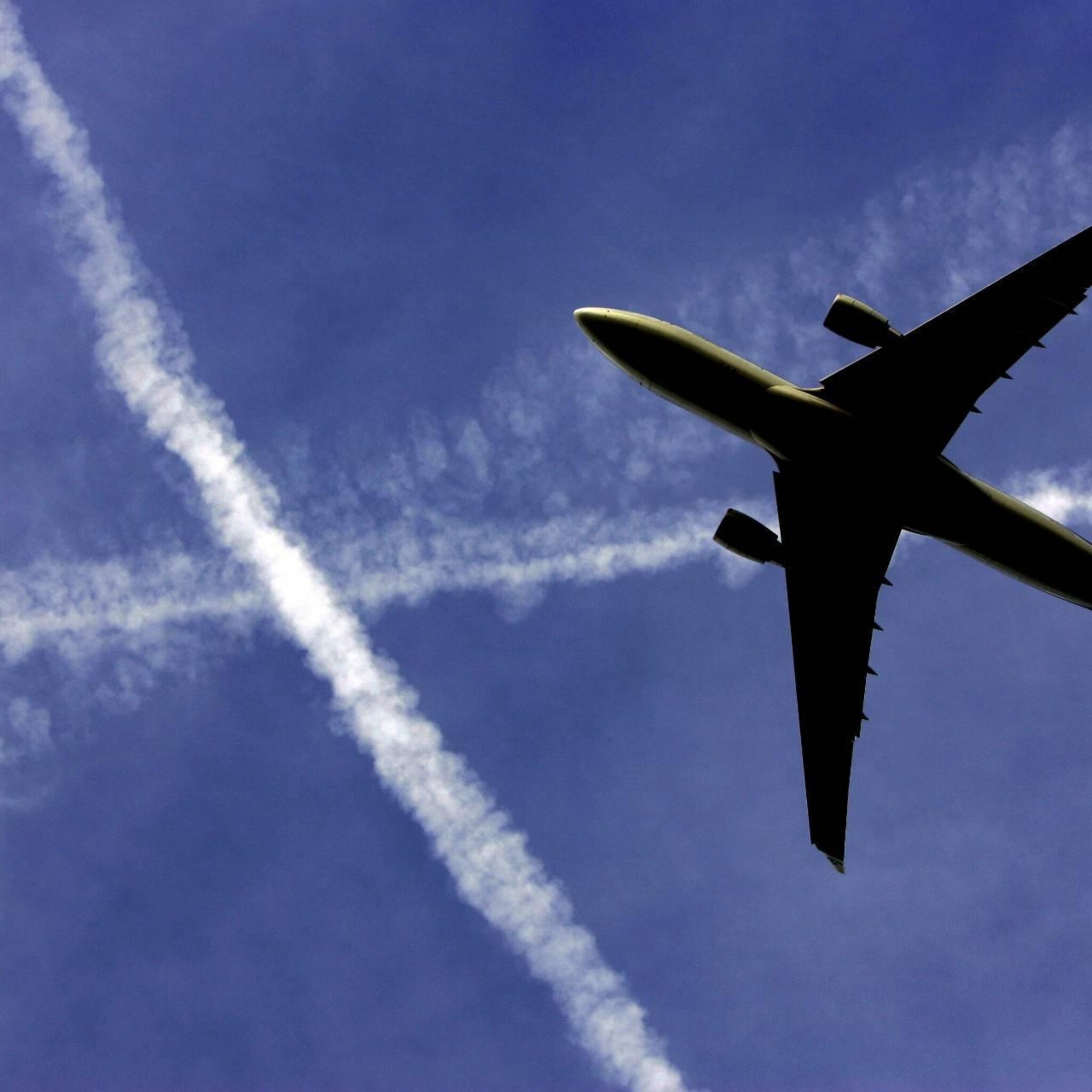 iata vraag naar vliegreizen blijft sterk vrachtvervoer daalt