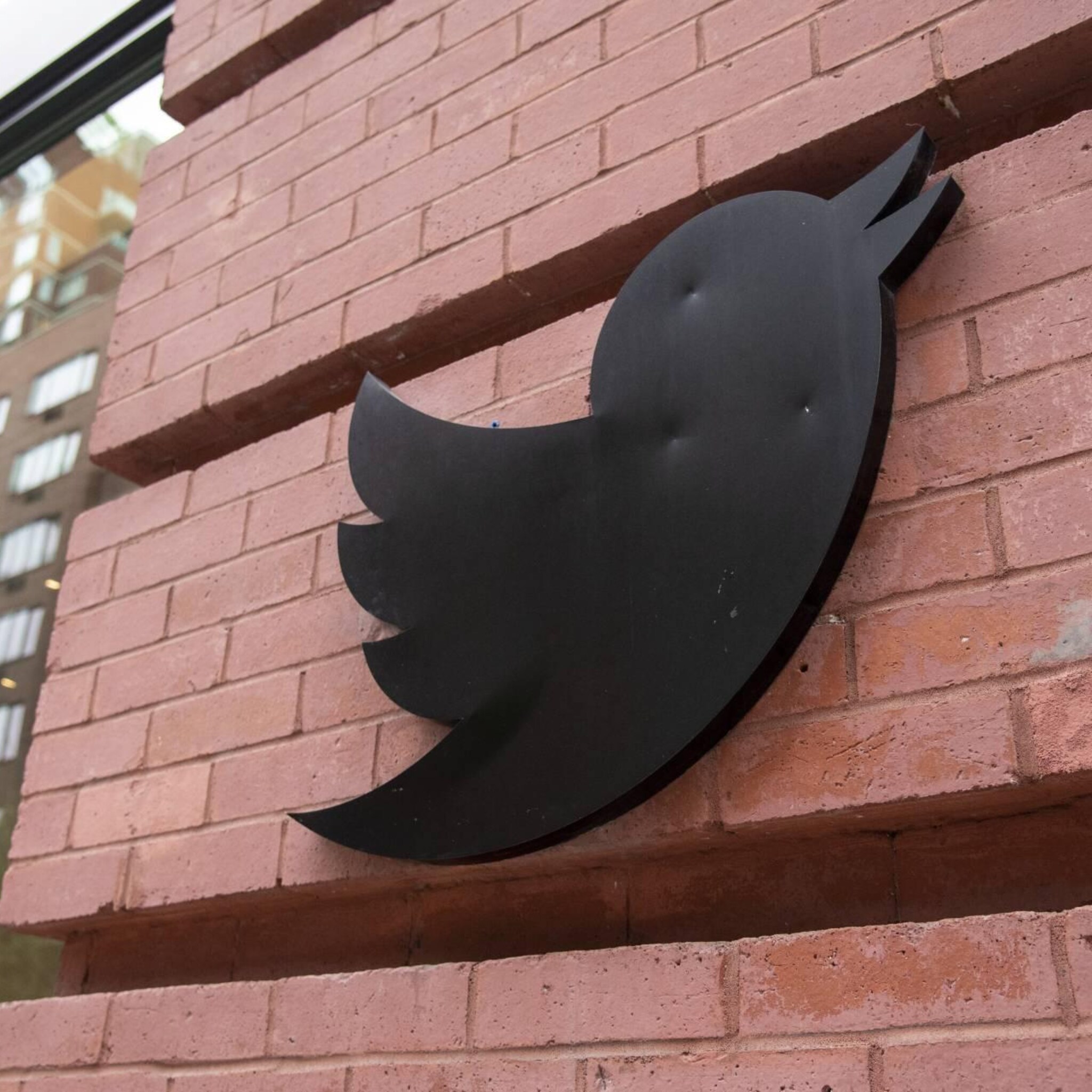 werknemers klagen twitter aan vanwege massaontslag door musk