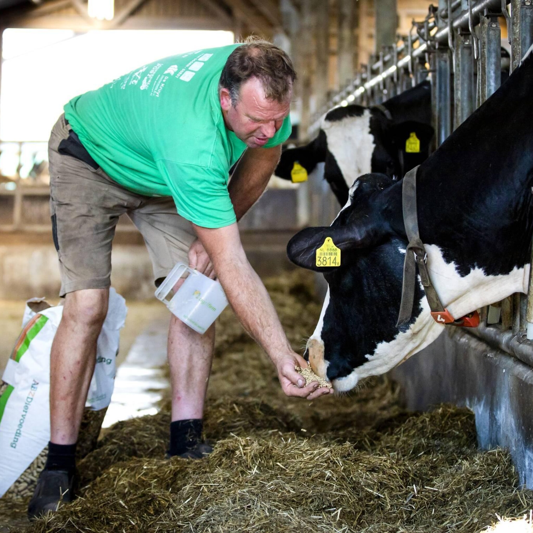 winst forfarmers gedrukt door door dure energie en dierziekten
