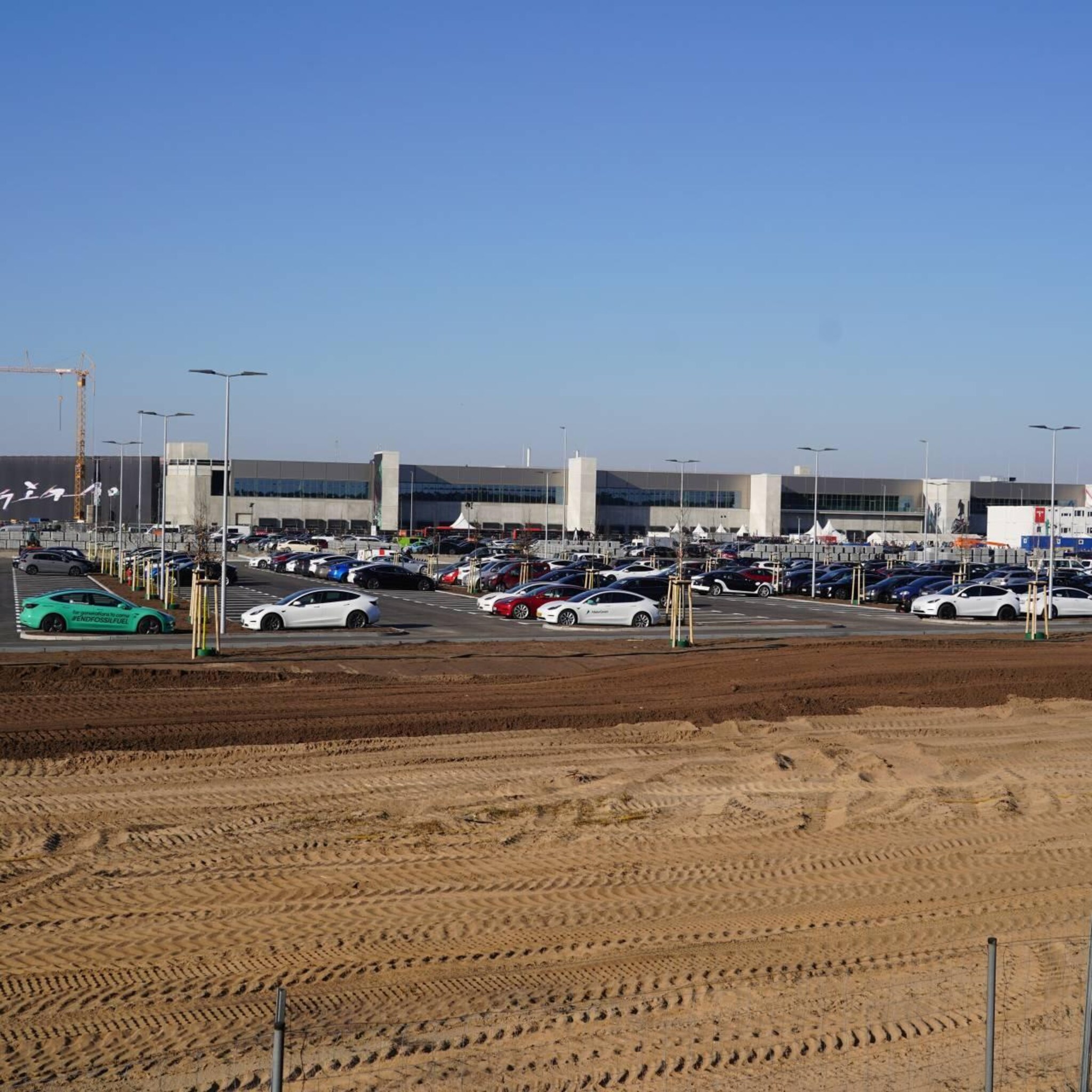 tesla laat bos kappen voor uitbreiding fabriek nabij berlijn