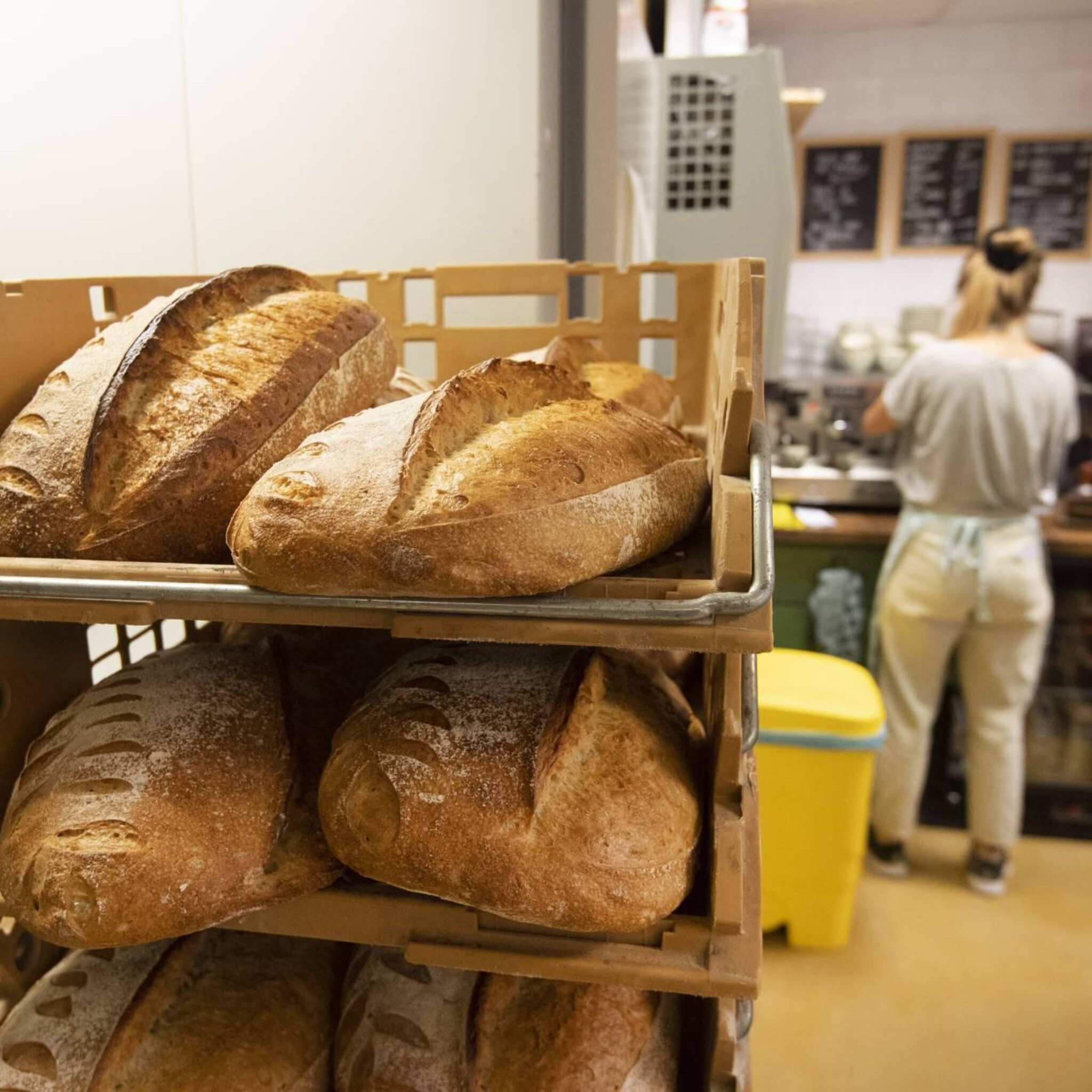 onderzoek steeds meer zorgen familiebedrijven over arbeidsmarkt