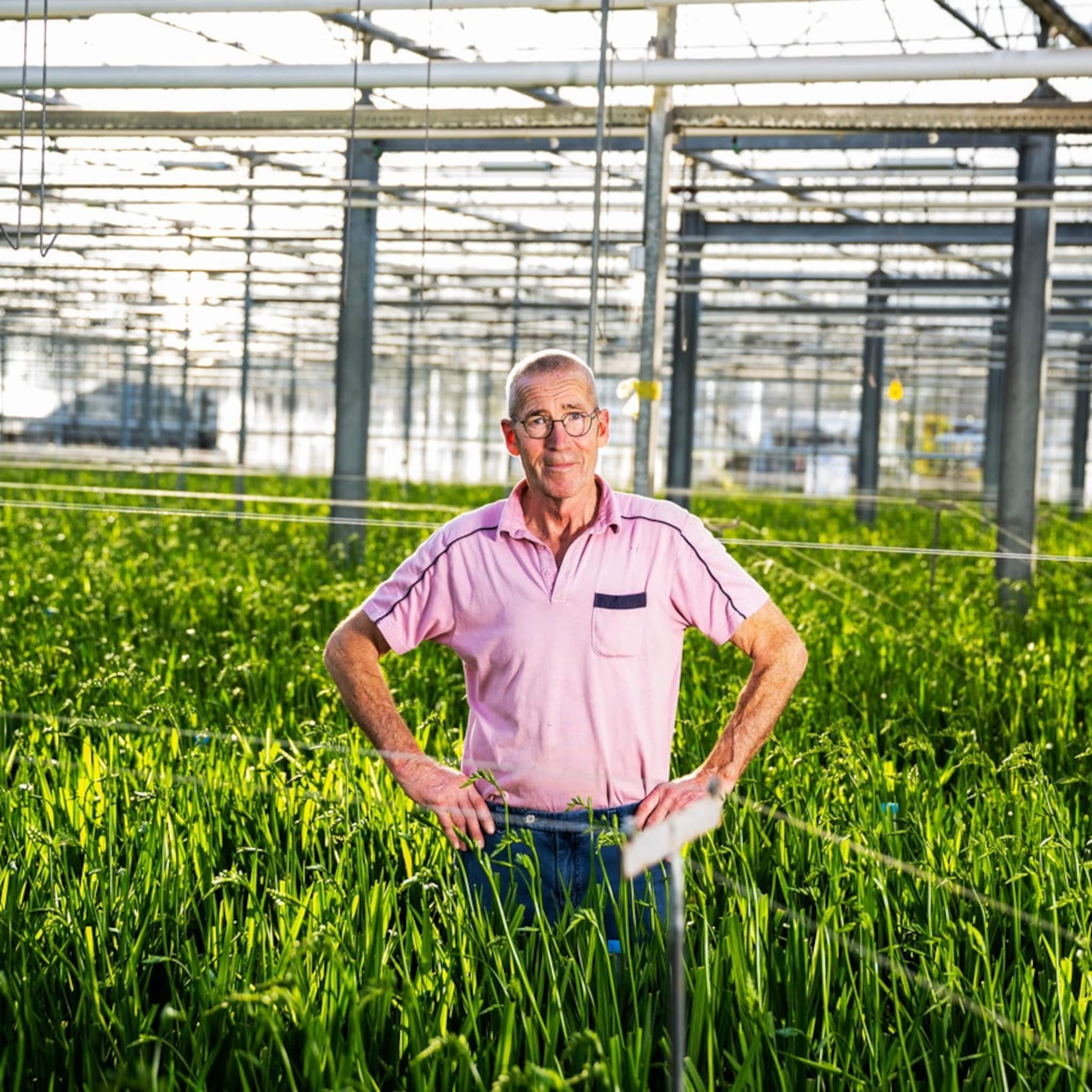 gemeenten luiden noodklok over dreigende faillissementen tuinbouwers voor iedereen een ramp