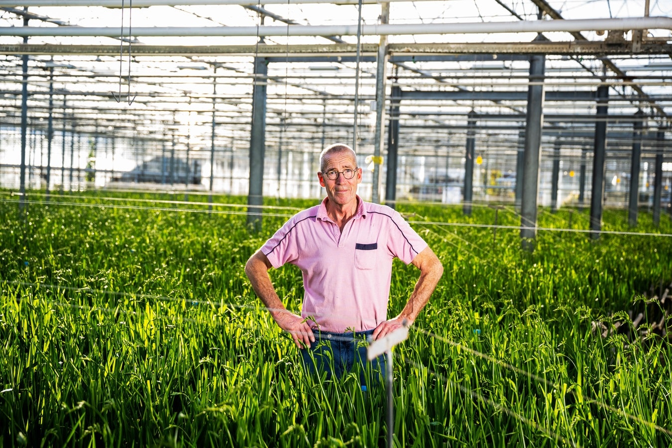 Theo Akerboom is freesiakweker in Roelofarendsveen. Foto: Frank de Roo.