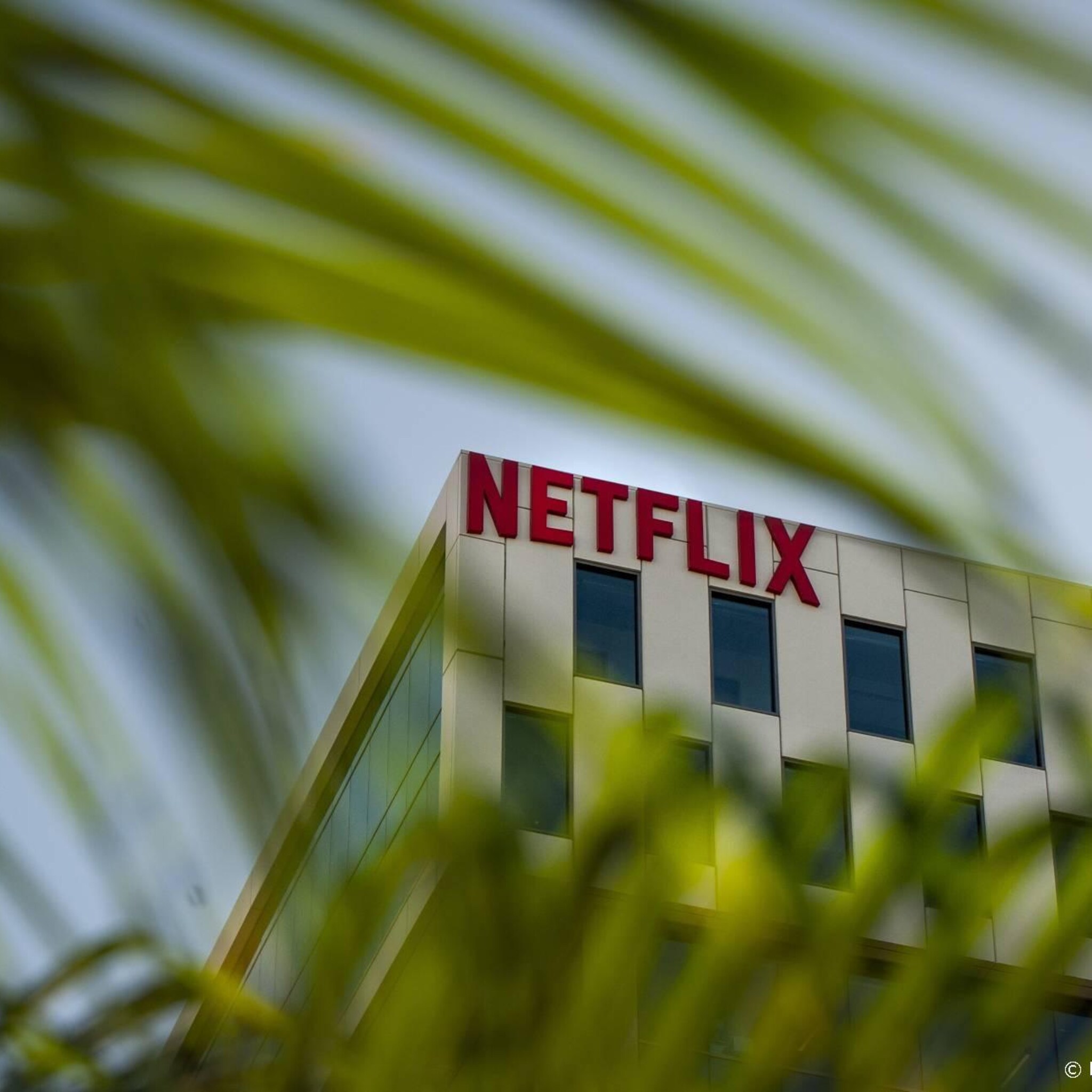 rentevrees keert terug op wall street netflix wel grote winnaar