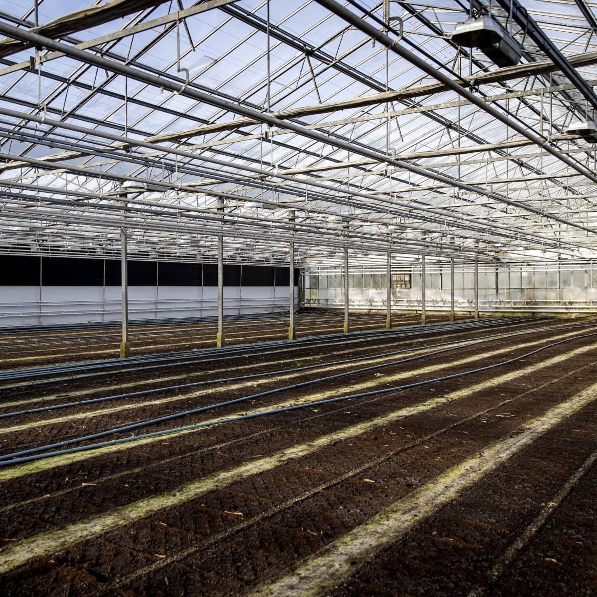 glastuinbouw haagse energiesteun helpt niet tot zeer marginaal