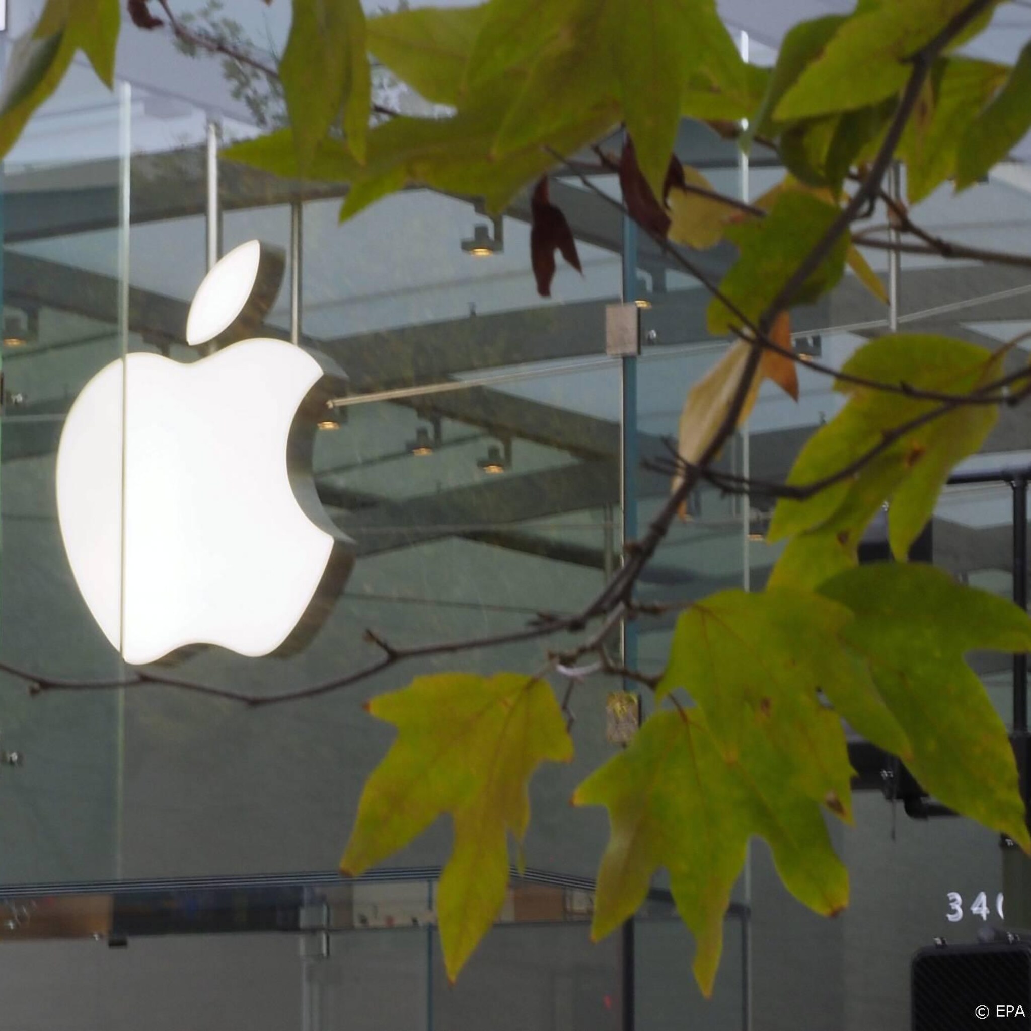 tweede amerikaanse winkel apple richt vakbond op