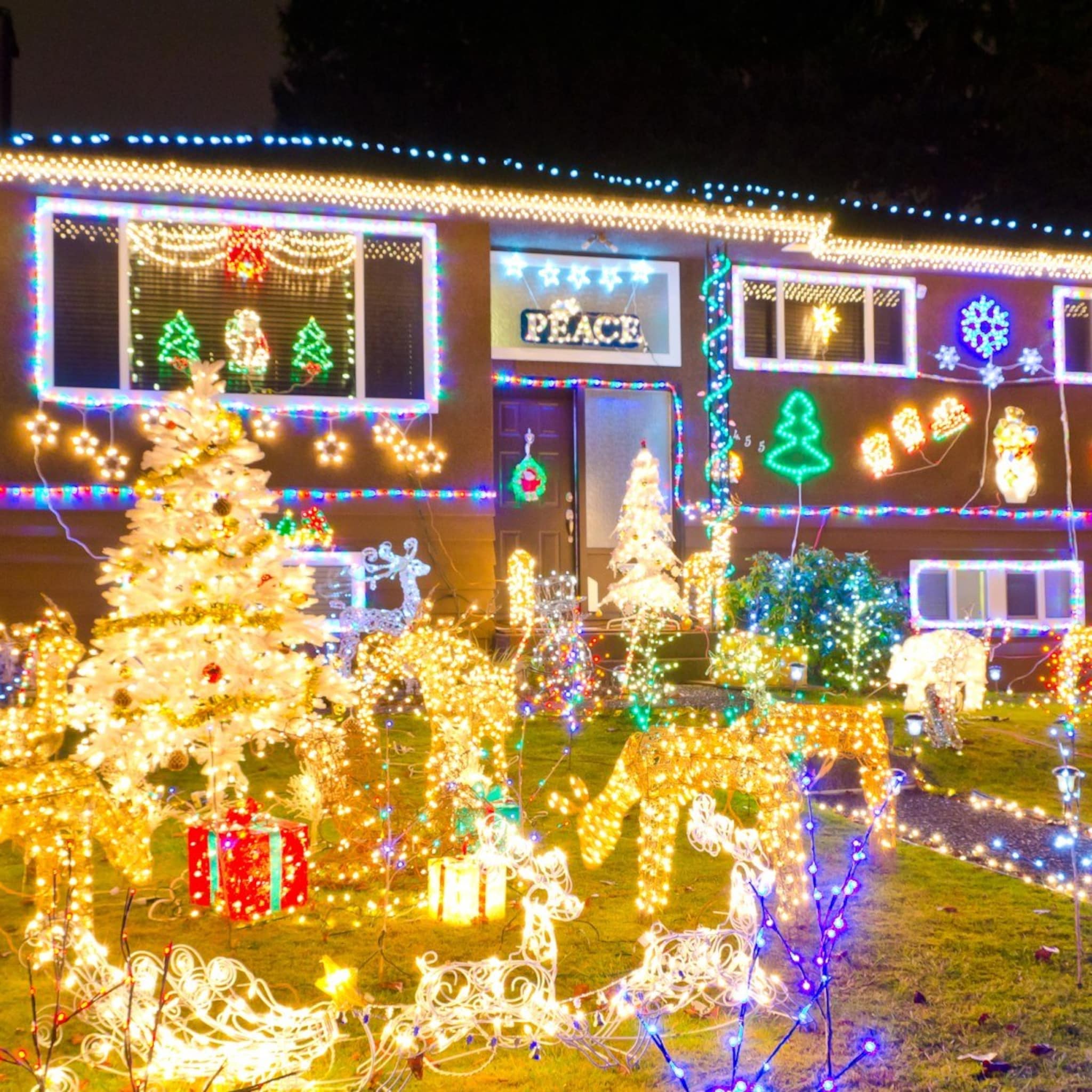 ondanks energiecrisis tuincentra hopen dat mensen kerstverlichting niet uit laten