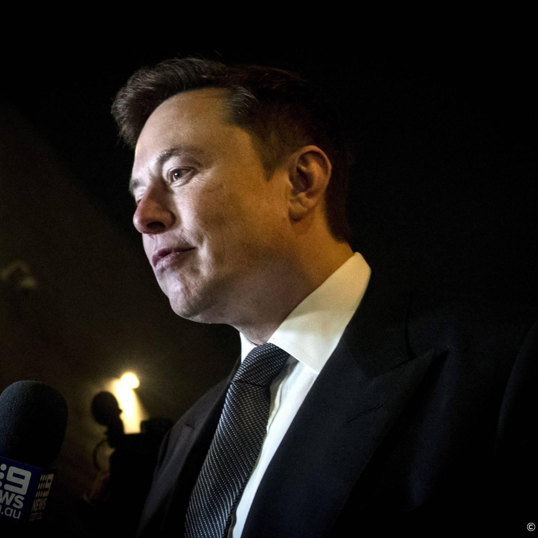vice musk belde met poetin voor vredesvoorstel op twitter