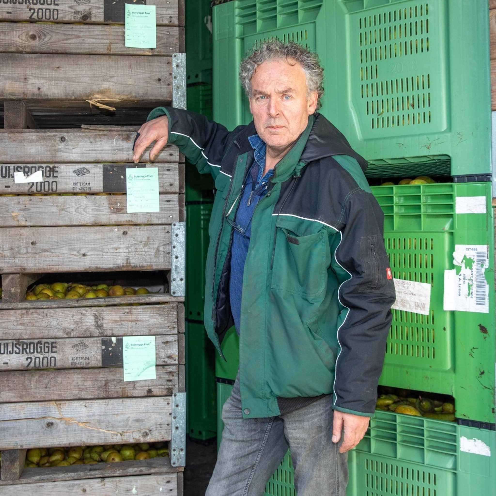 fruitteler met koelcellen ziet energierekening in maand tijd verzesvoudigen