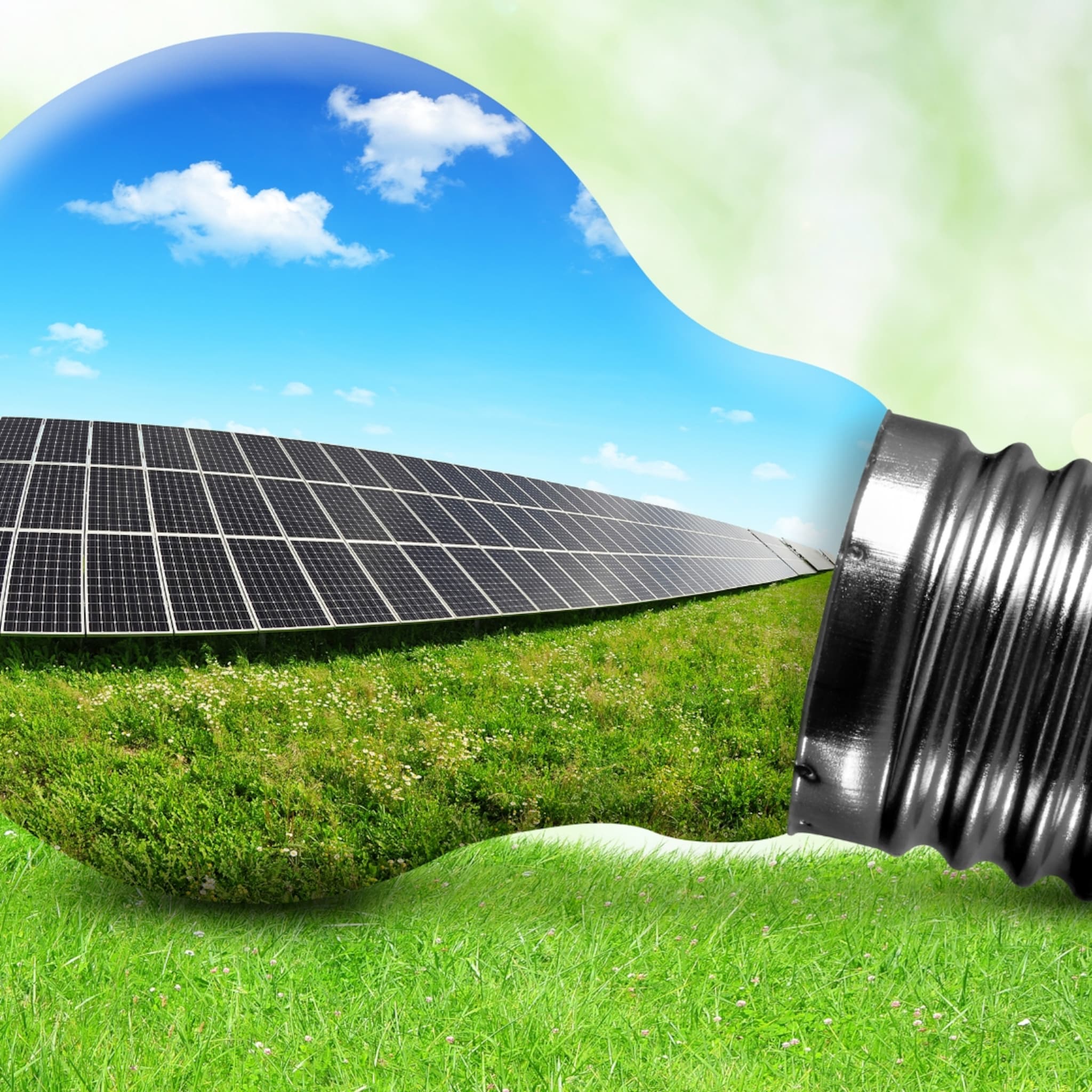 jelle 31 uit zwolle bedenkt oprolbaar zonne energietapijt