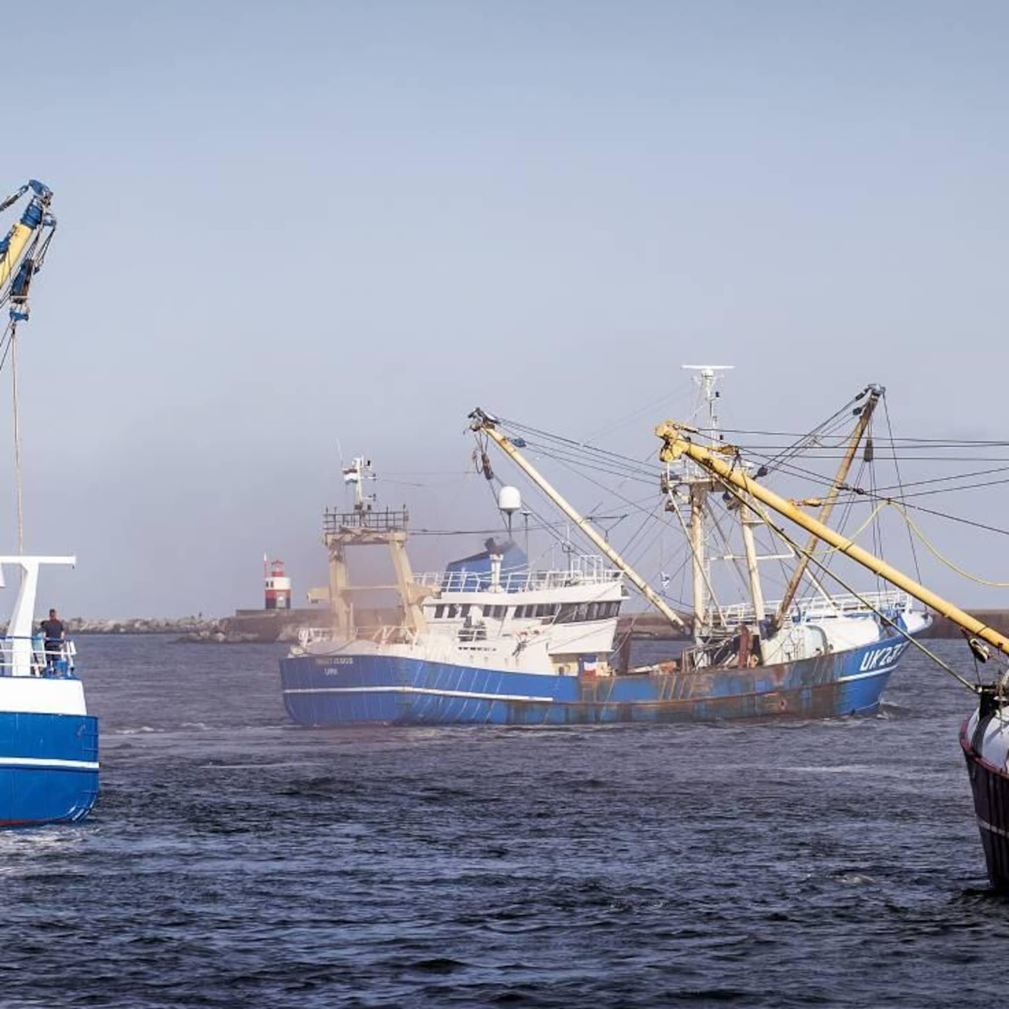 nederlandse kottervisserij draait fors verlies
