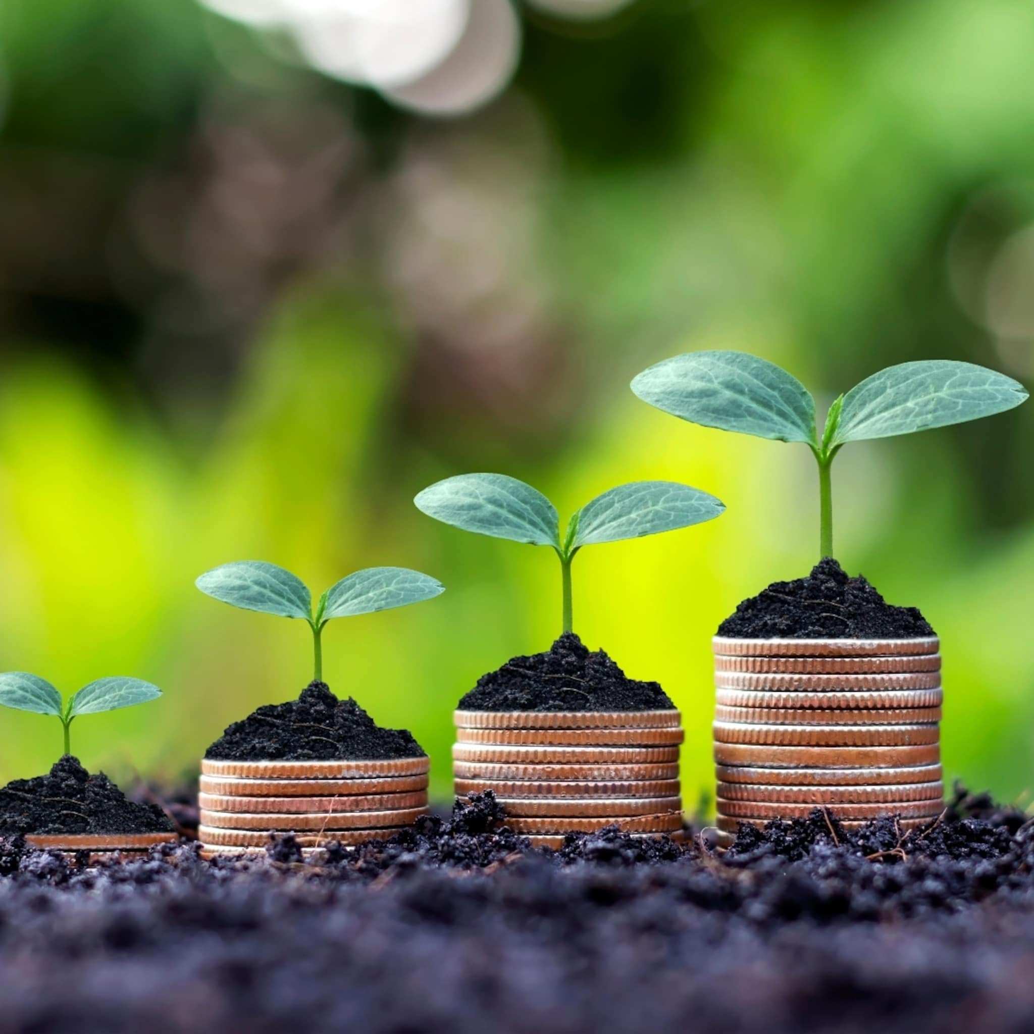 jong en ervaren assetcare schudt traditionele beleggingswereld op