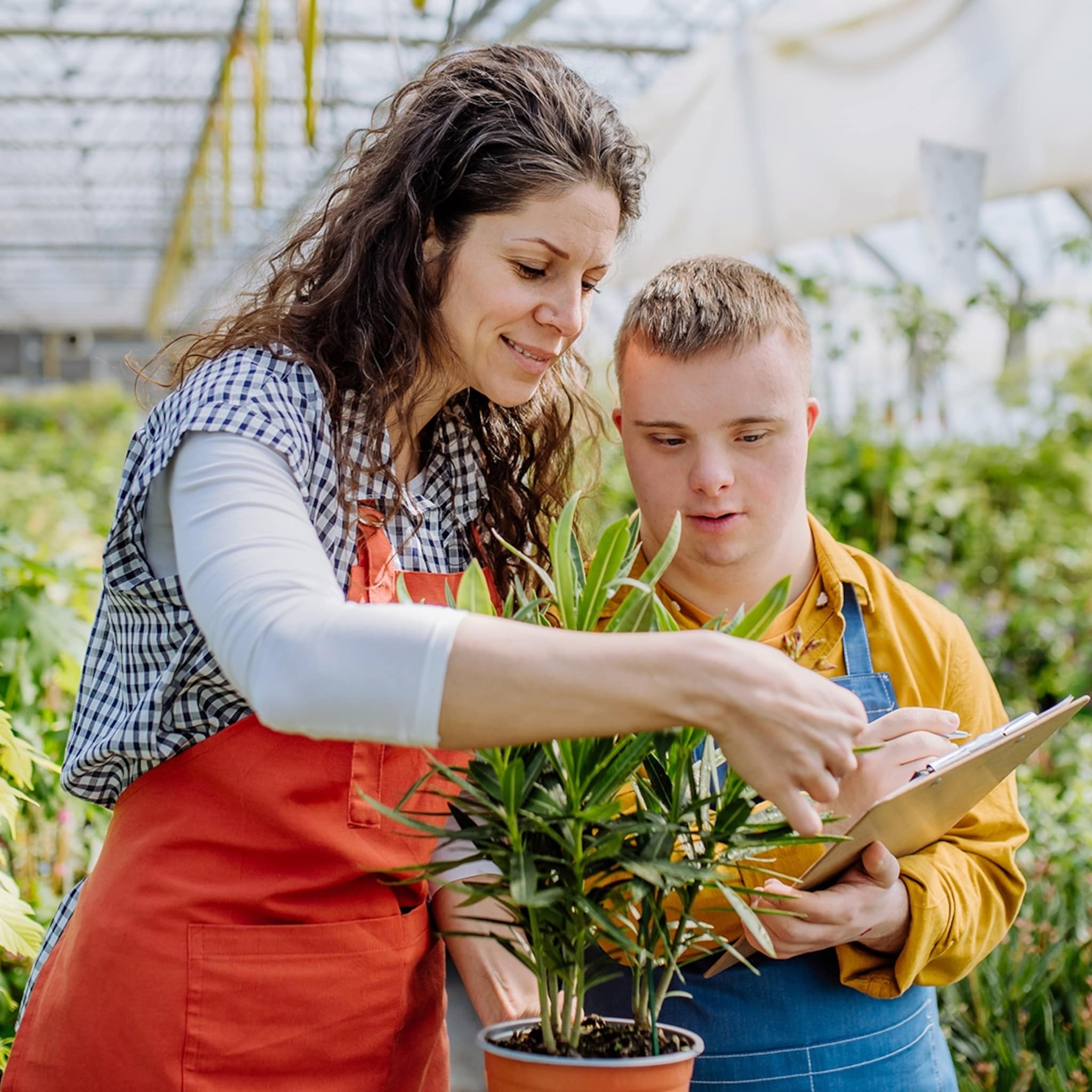 sociaal ondernemen succesvol je sociale doel bereiken