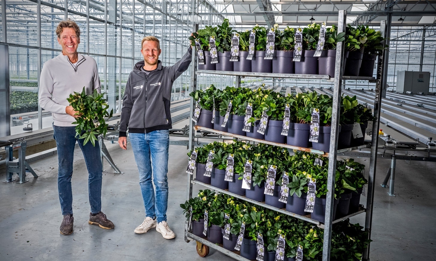 Siem Hoogeveen (li) en Bob Hoogerdijk in hun nieuwe energieneutrale kassencomplex met zonnepanelen en warmtepompen. Hoogeveen Plants heeft nog veel meer ambities en wil klimaatneutraal en zelfvoorzienend zijn. Foto: Frank de Roo