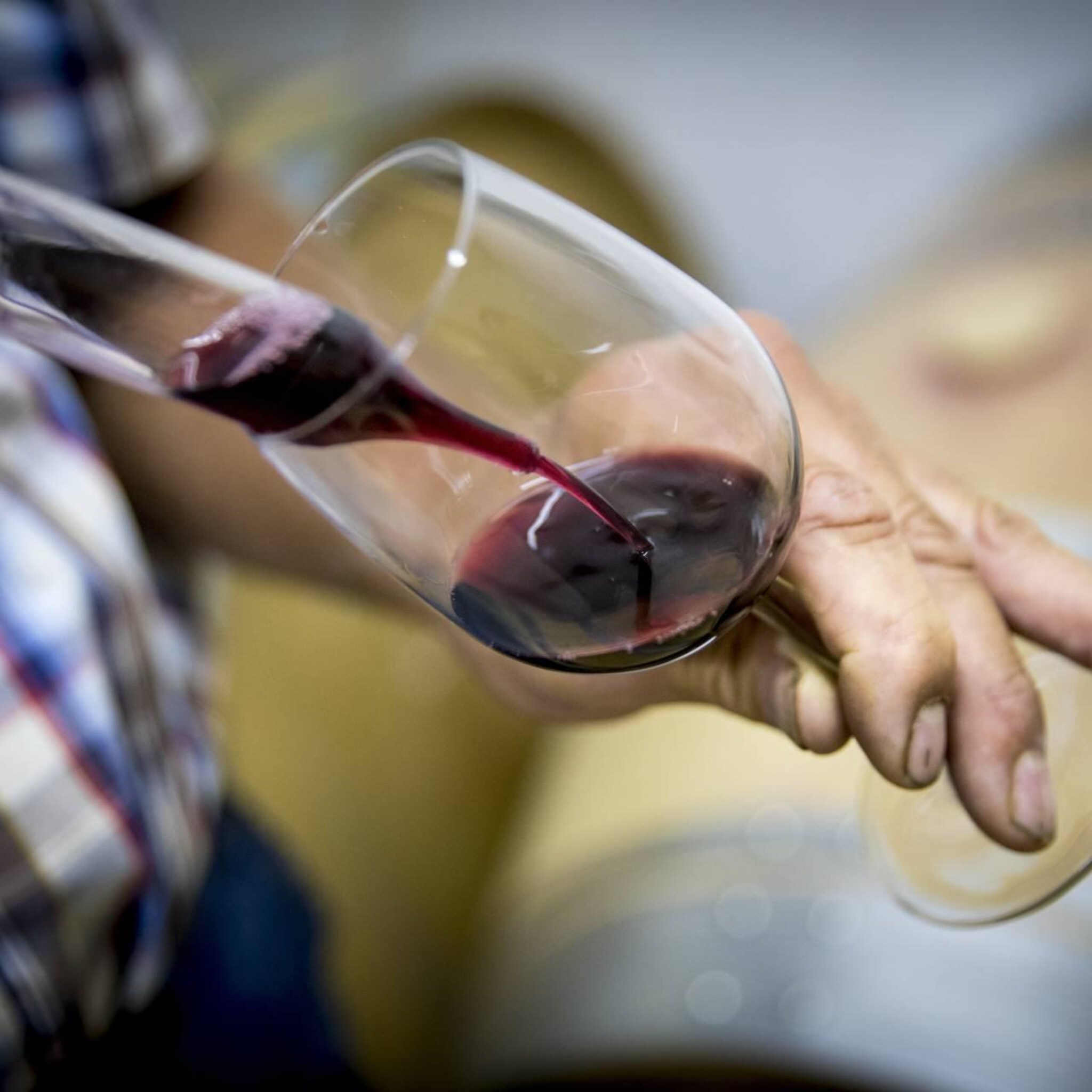 goed jaar voor franse wijn elders minder door droogte