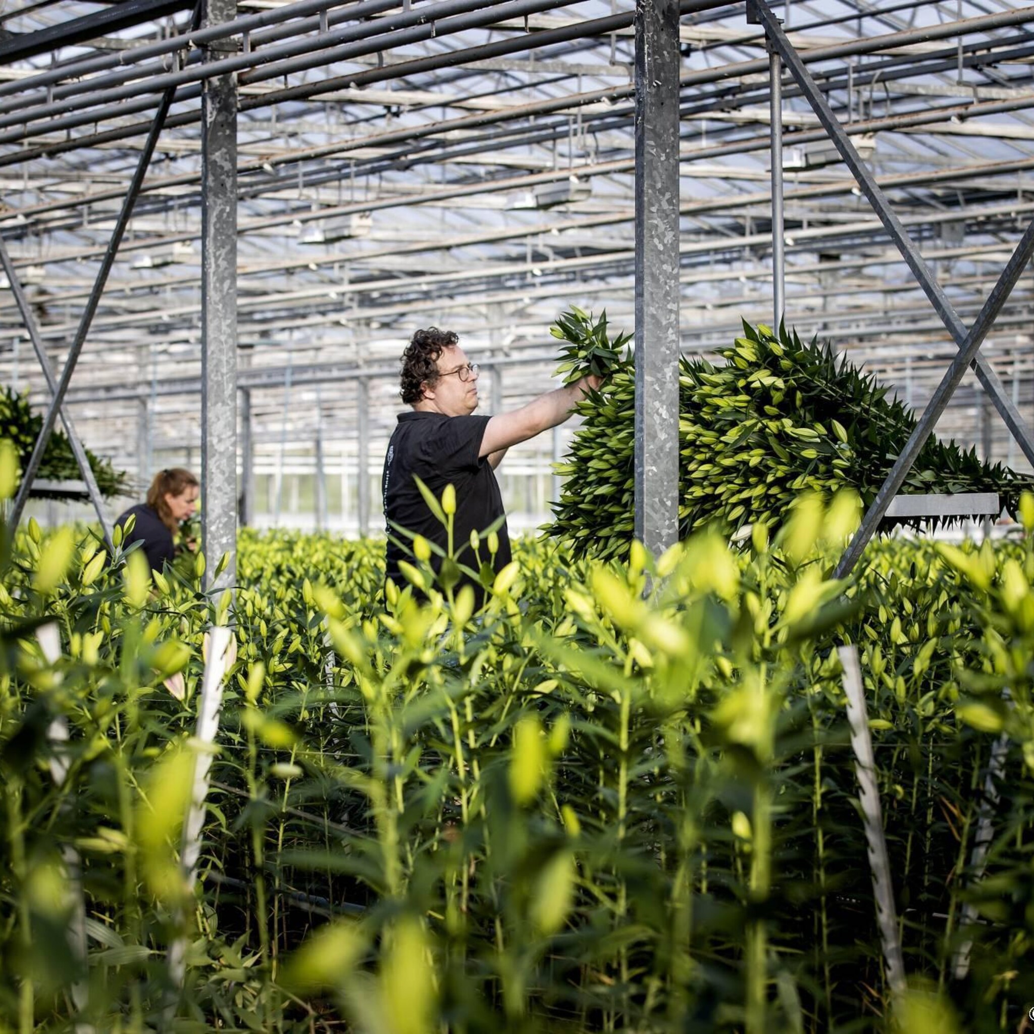 loonkosten eurozone stijgen verder