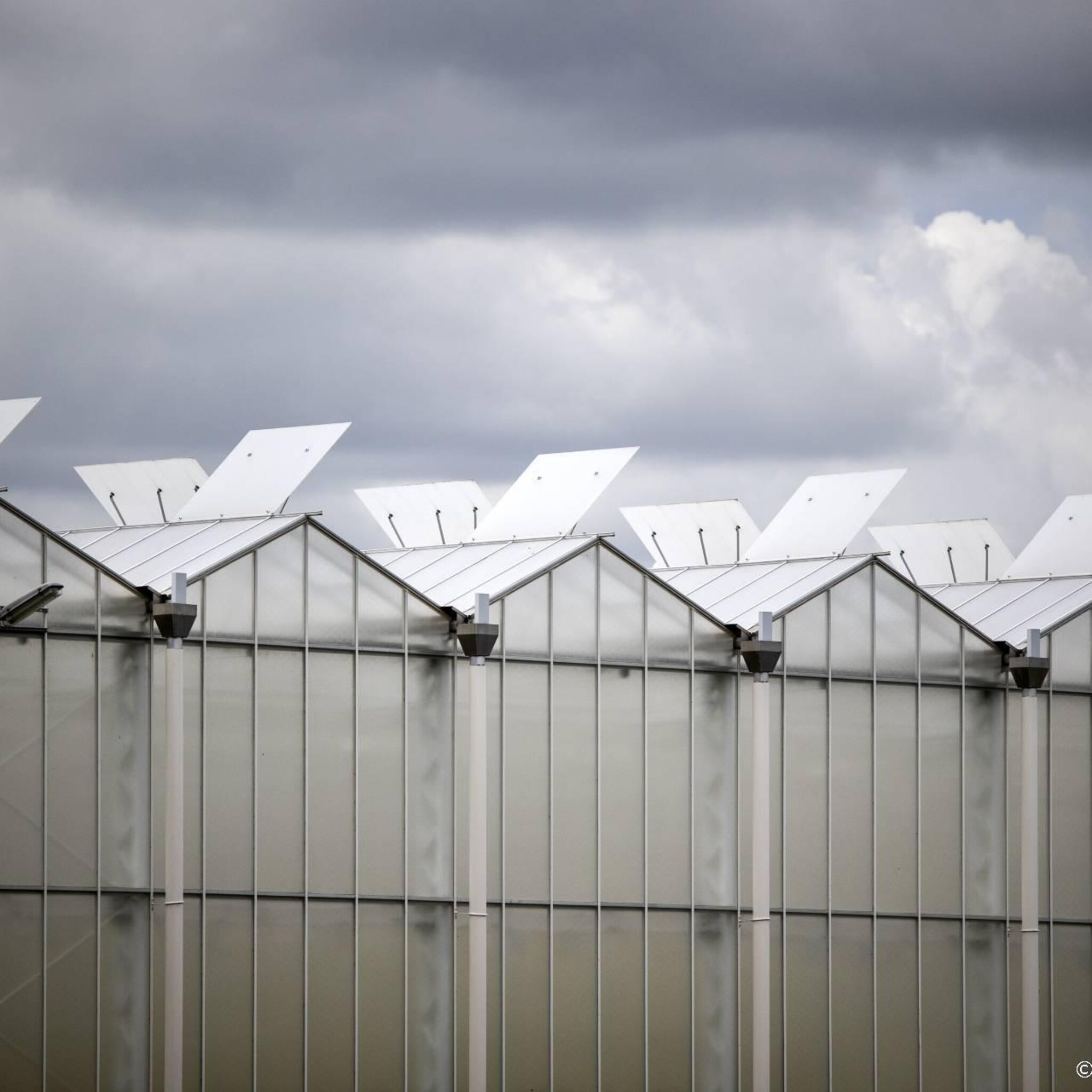 kwart energie intensieve bedrijven in het rood door hoge prijzen