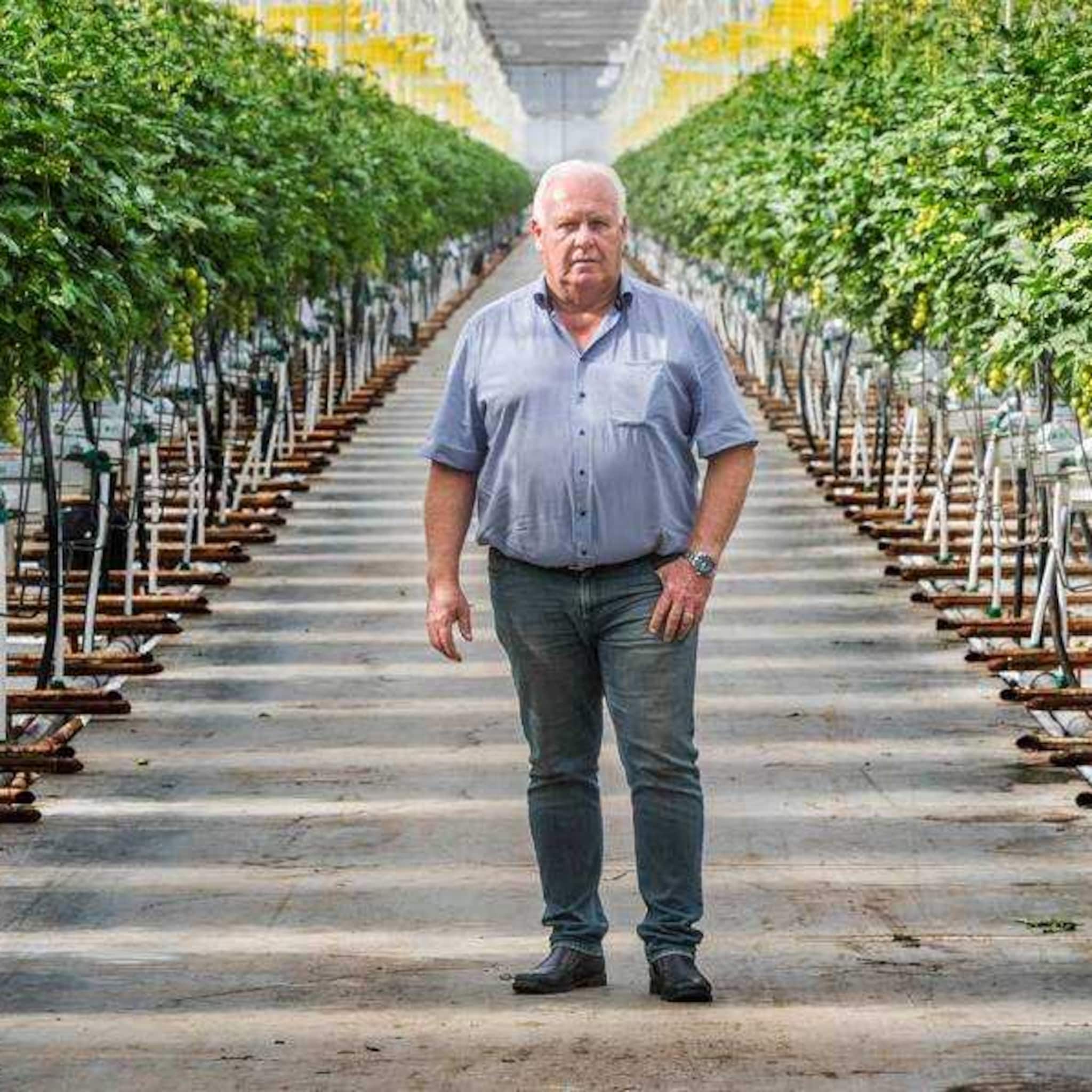 licht gaat uit in de kassen door energieprijzen veel minder bloemen planten groenten en fruit