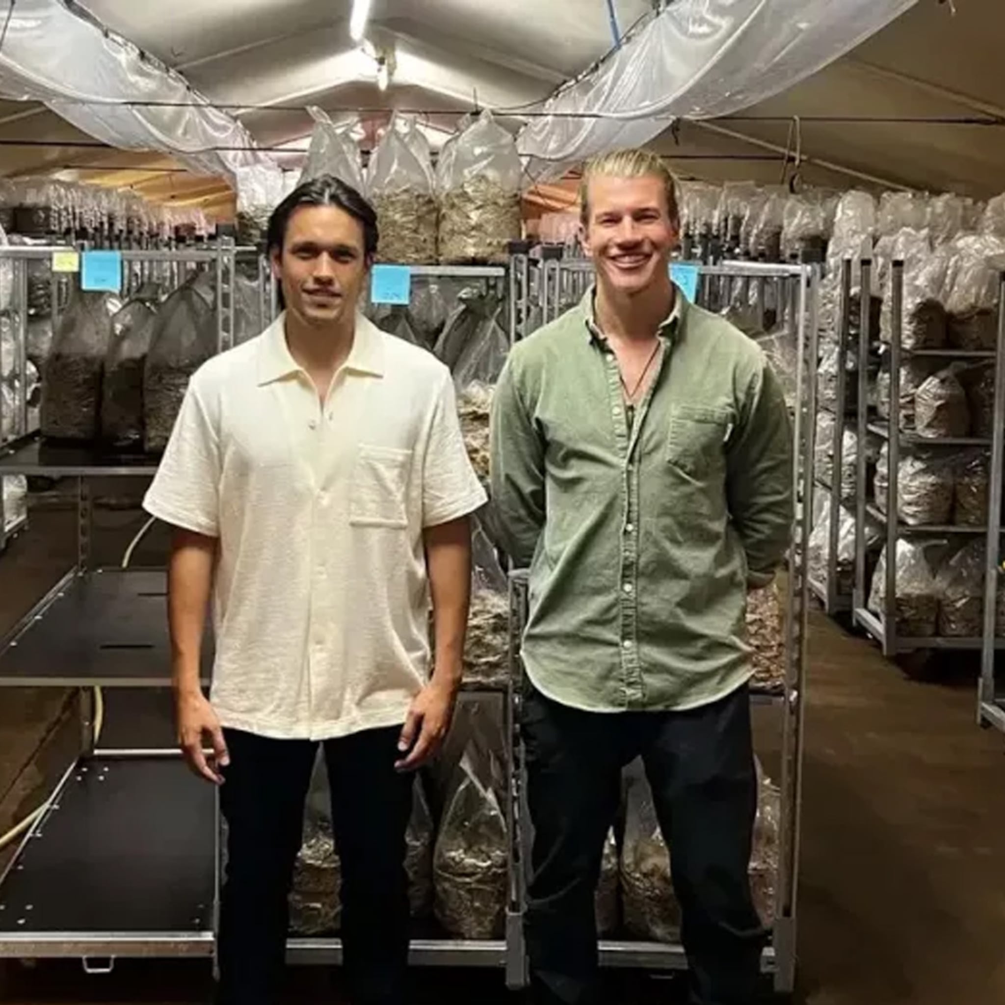 ondernemers nils en gino verkopen microhoeveelheden psychedelische truffels