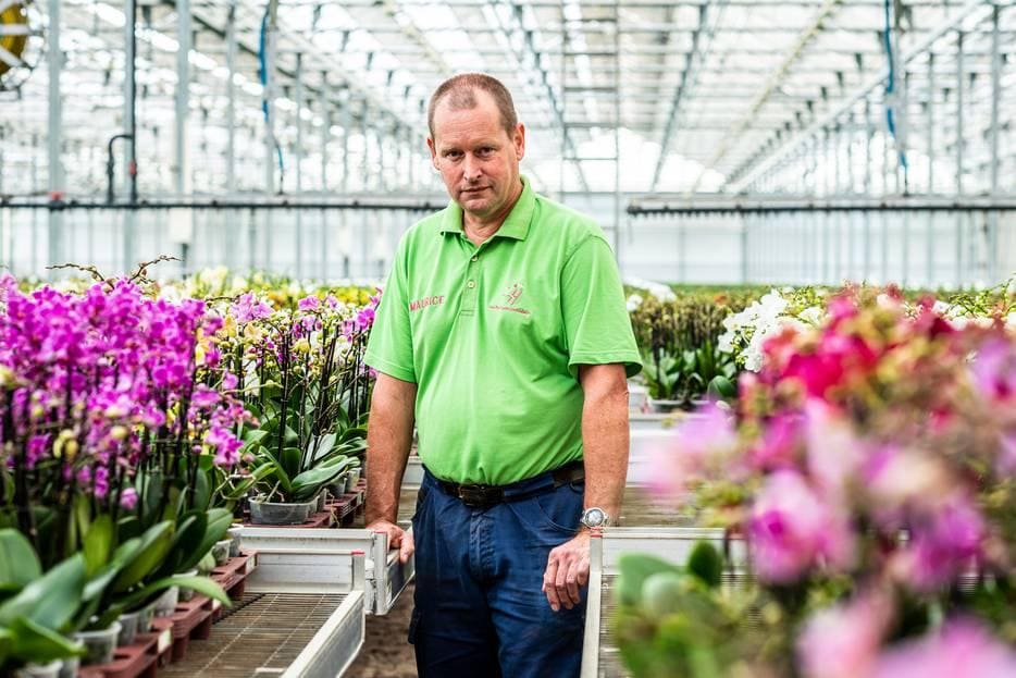 Kweker Maurice van der Hoorn, pionier met de eerste duurzame kas zonder gas, is failliet. Foto: AD/Merel Klijzing.