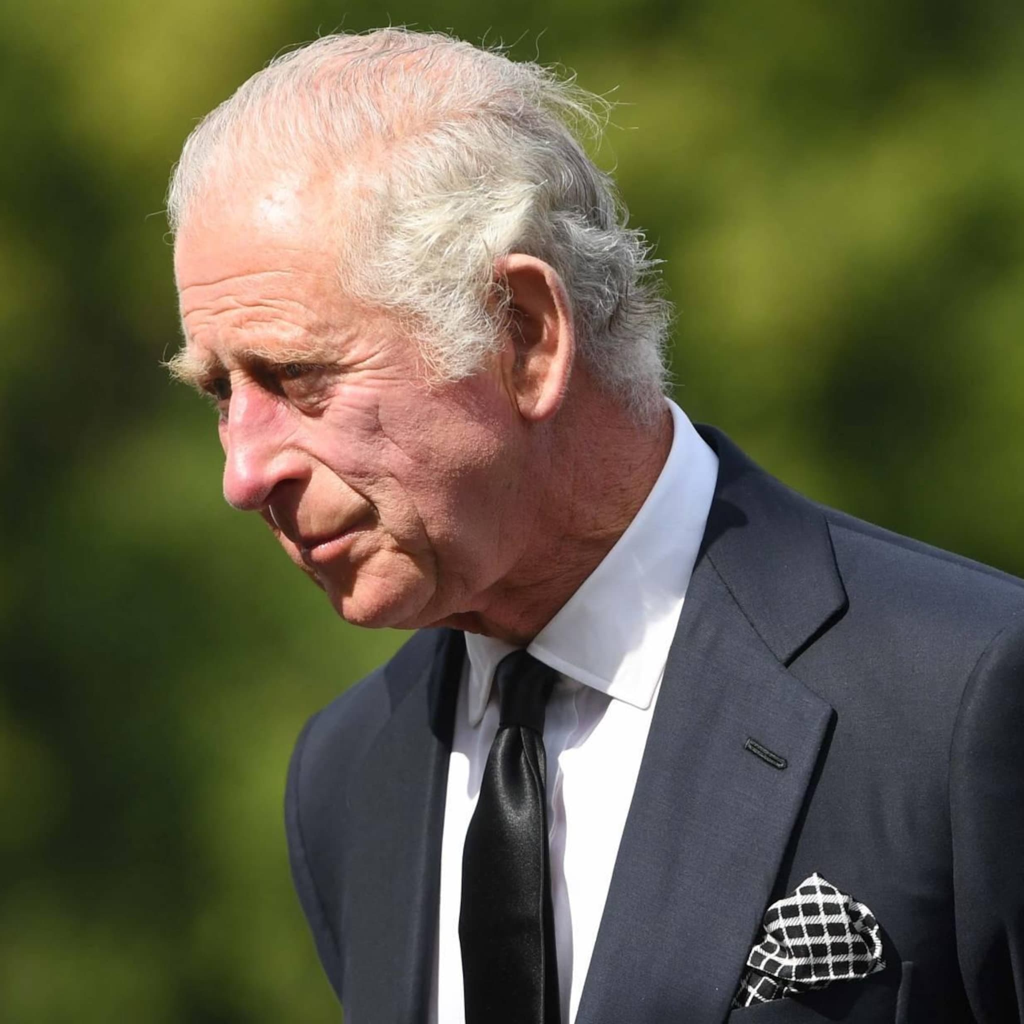 naast kroon gaan ook bezittingen queen over naar charles